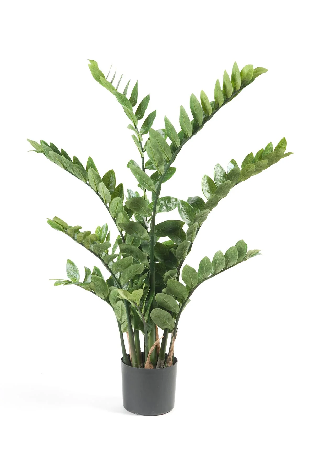 Zamioculcas Kunstpflanze 110 cm – Pflegeleicht und Elegant