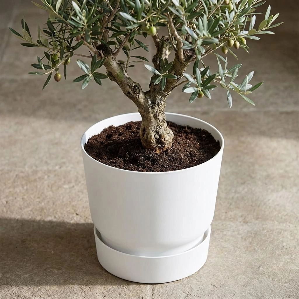 Elho greenville round white - D30cm Bild 5