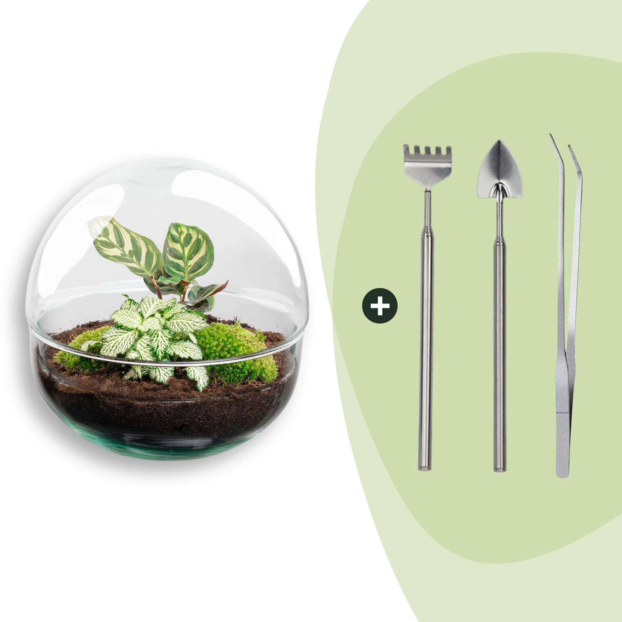 Flaschengarten - Dome - ↕ 20 cm - Rake + Shovel + Tweezer Bild 1