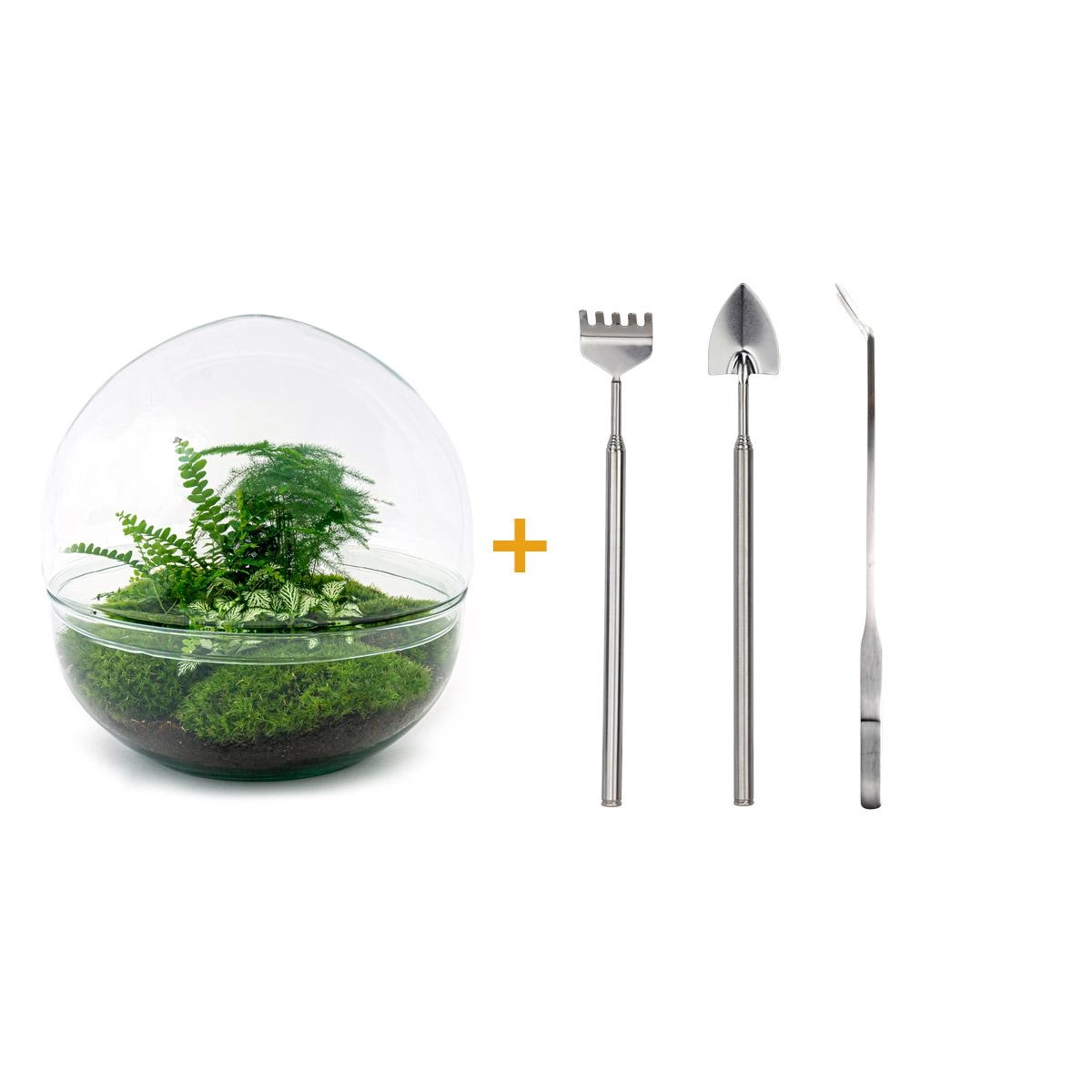 Flaschengarten - Dome XL - ↕ 30 cm - Rake + Shovel + Tweezer Bild 2