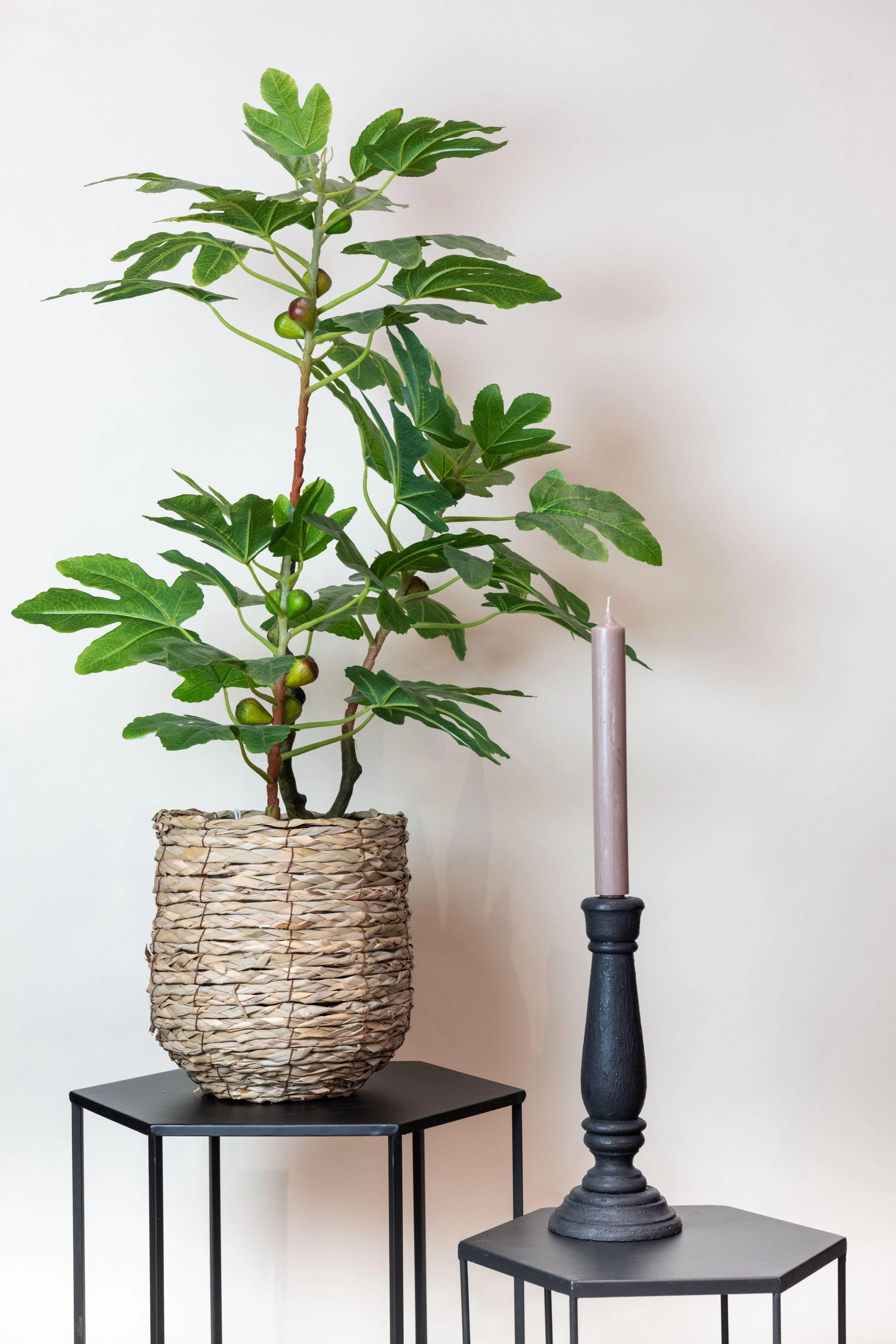 Kunstfeigenbaum – Ficus Carica