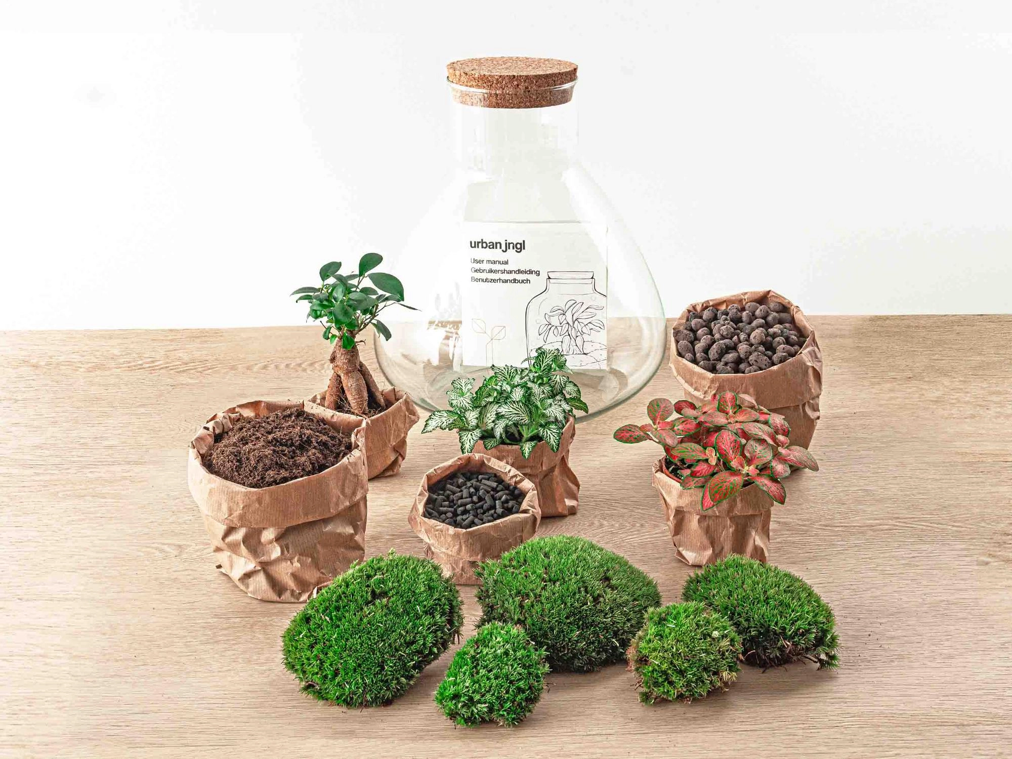 Do-It-Yourself Terrarium