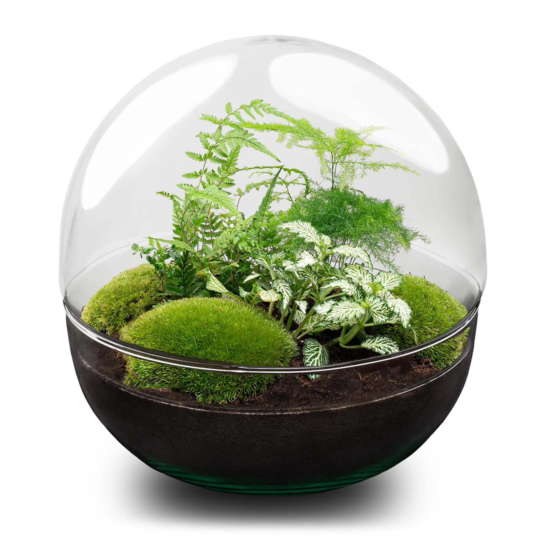 Flaschengarten - Dome XL - ↕ 30 cm - Rake + Shovel Bild 2