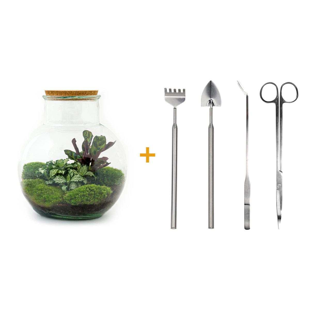Do-It-Yourself Flaschengarten Set