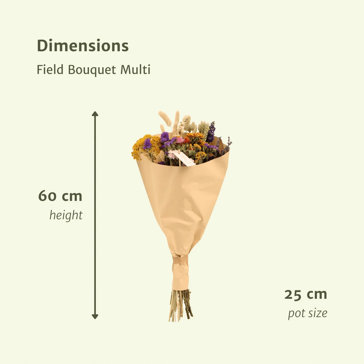 Trockenblumen Feldblumenstrauß Multi - Ø25cm - ↕60cm Bild 2