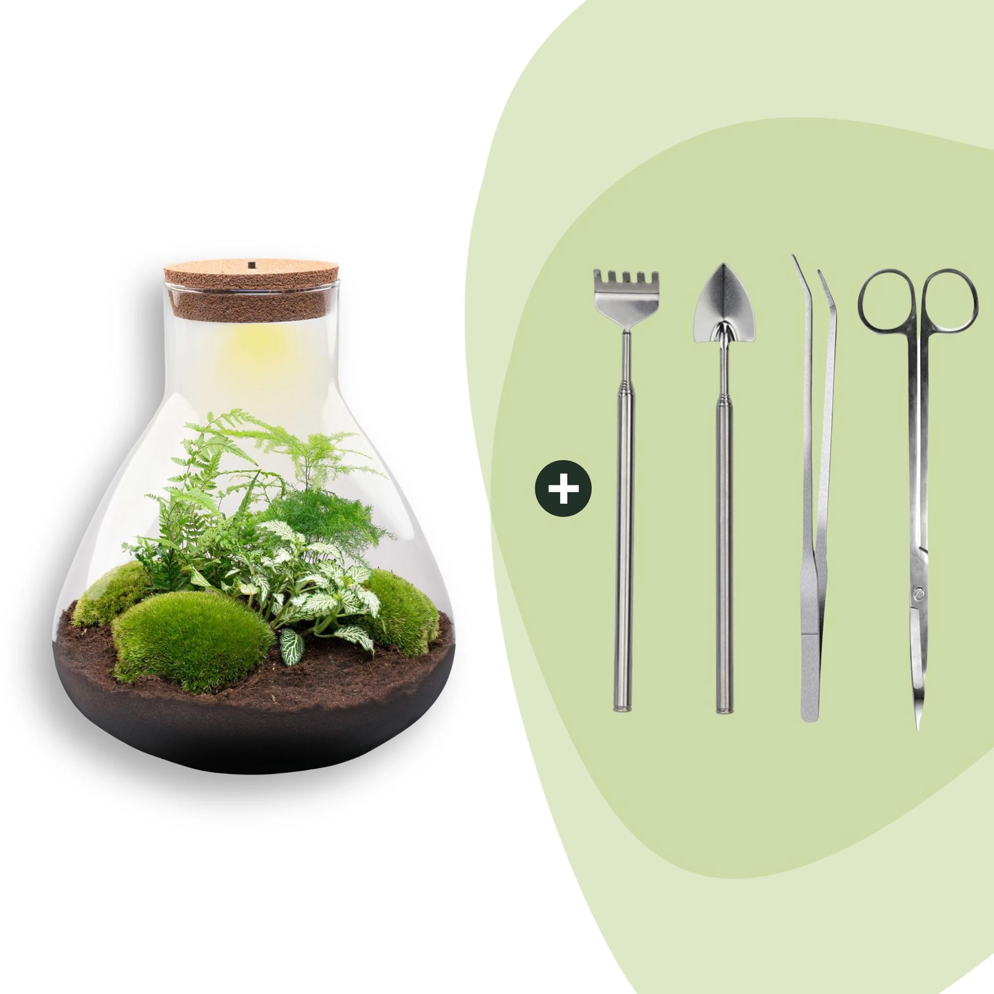 Flaschengarten - Sam XL - ↕ 35 cm - Rake + Shovel + Tweezer + Scissors Bild 1