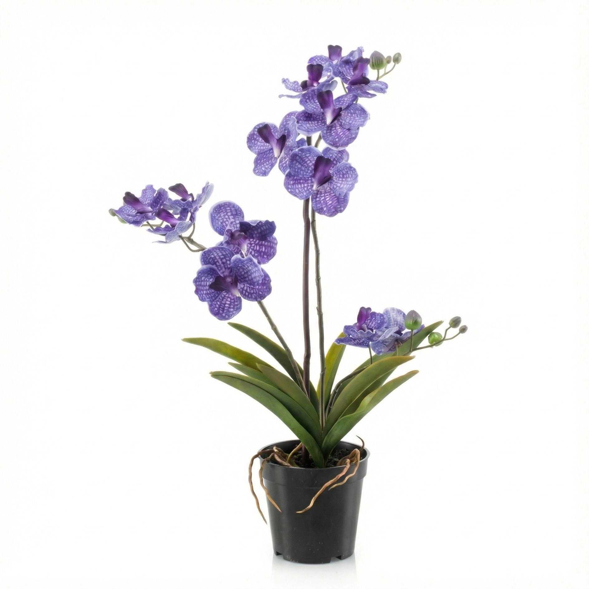 De Vanda Orchidee Kunstplant 60 cm
