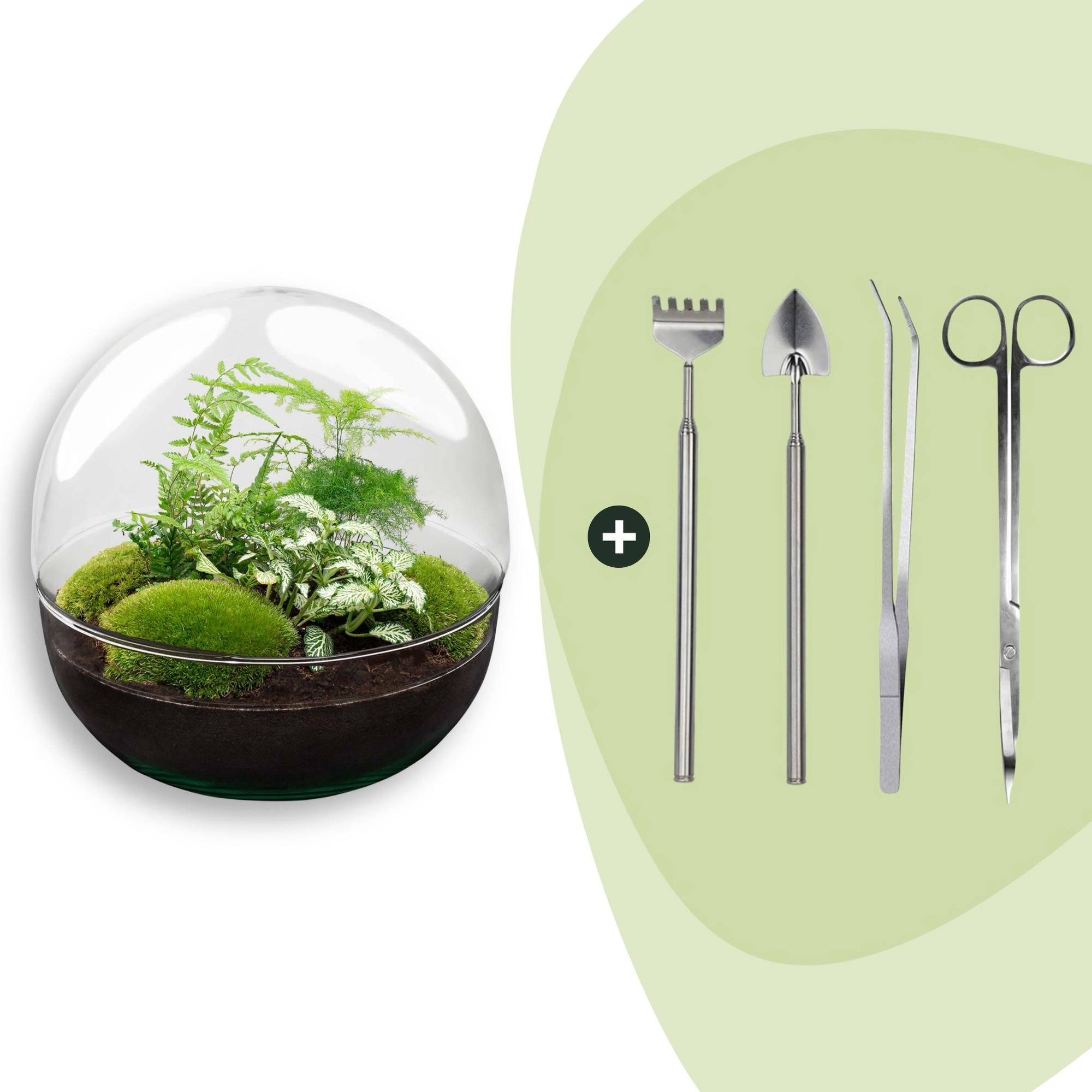Flaschengarten - Dome XL - ↕ 30 cm - Rake + Shovel + Tweezer + Scissors Bild 1