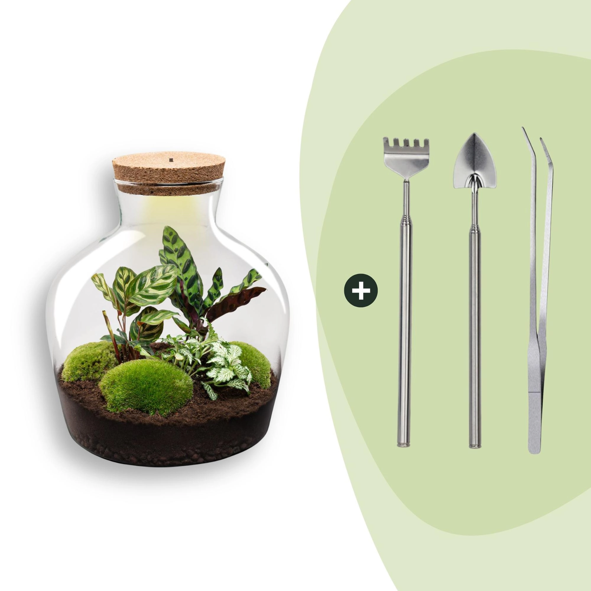 Flaschengarten - Fat Joe - ↕ 30 cm - Rake + Shovel + Tweezer Bild 1