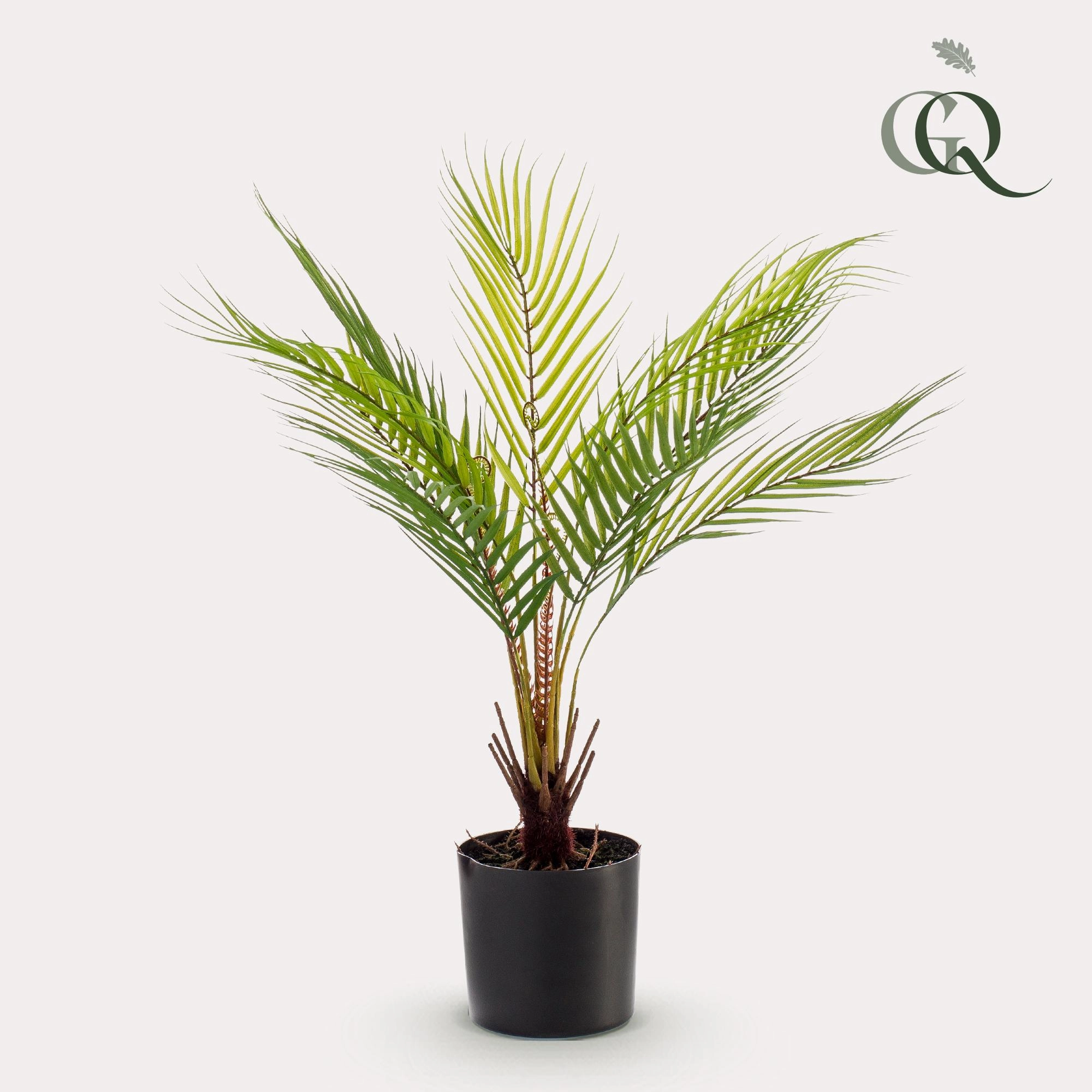 Chamaedorea Elegans – Kunstpalme in verschiedenen Größen