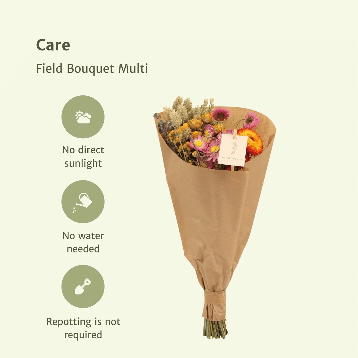12x Field Bouquet Multi - Droogboeket - 35cm - Ø15 Bild 3