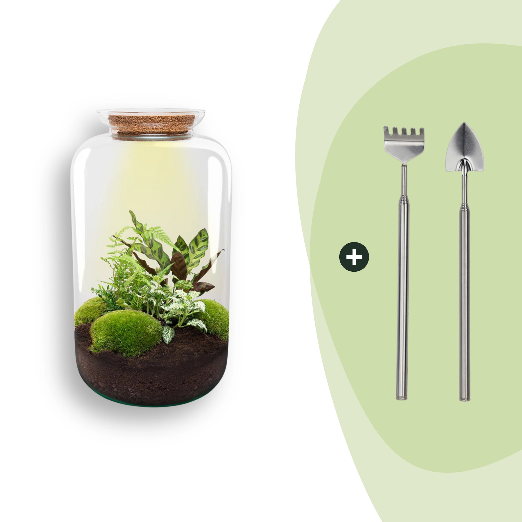 Flaschengarten - Botanical Sven XL - ↕ 43 cm - Rake + Shovel Bild 1