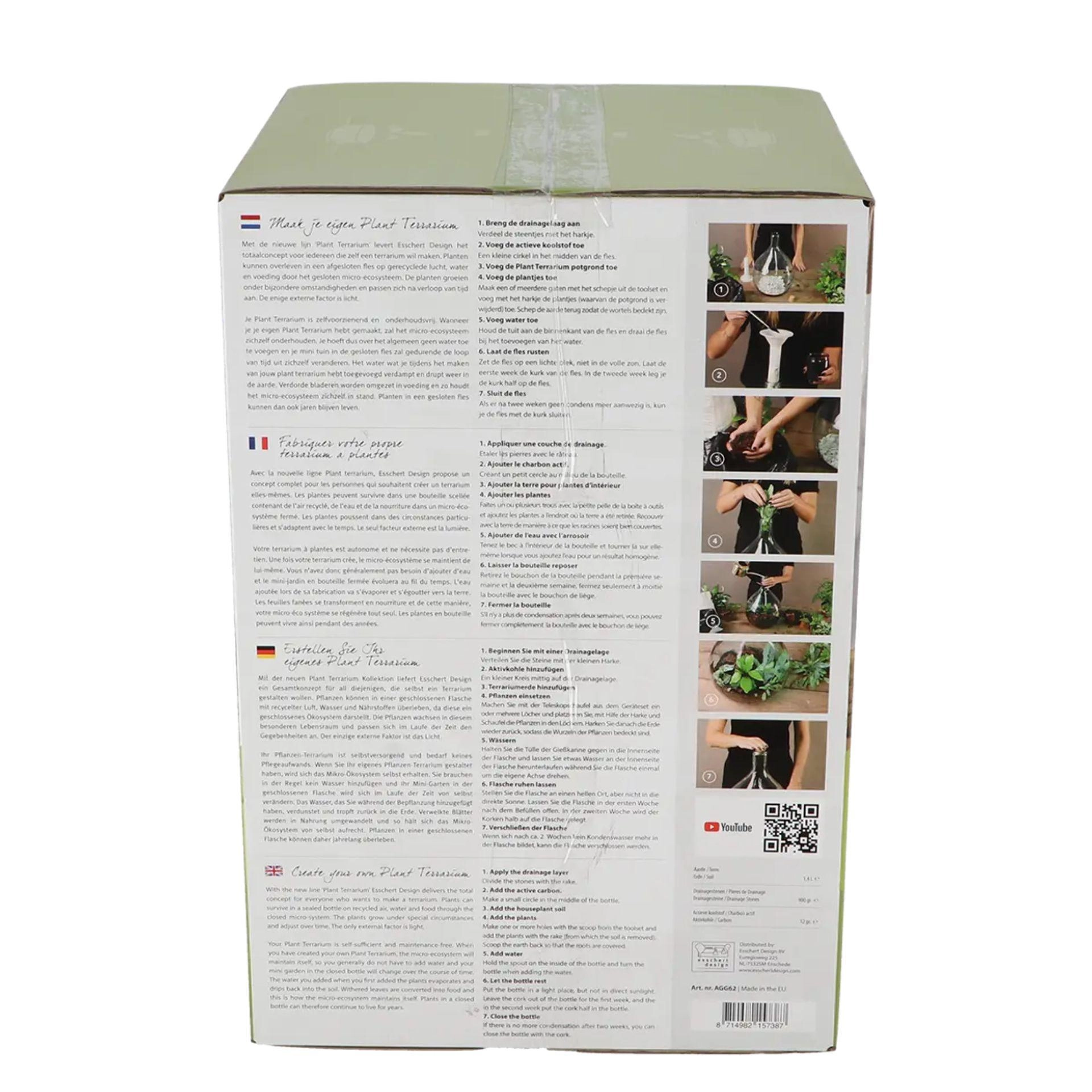 DIY Plant Terrarium Set – Mini-Jungle in einer Box