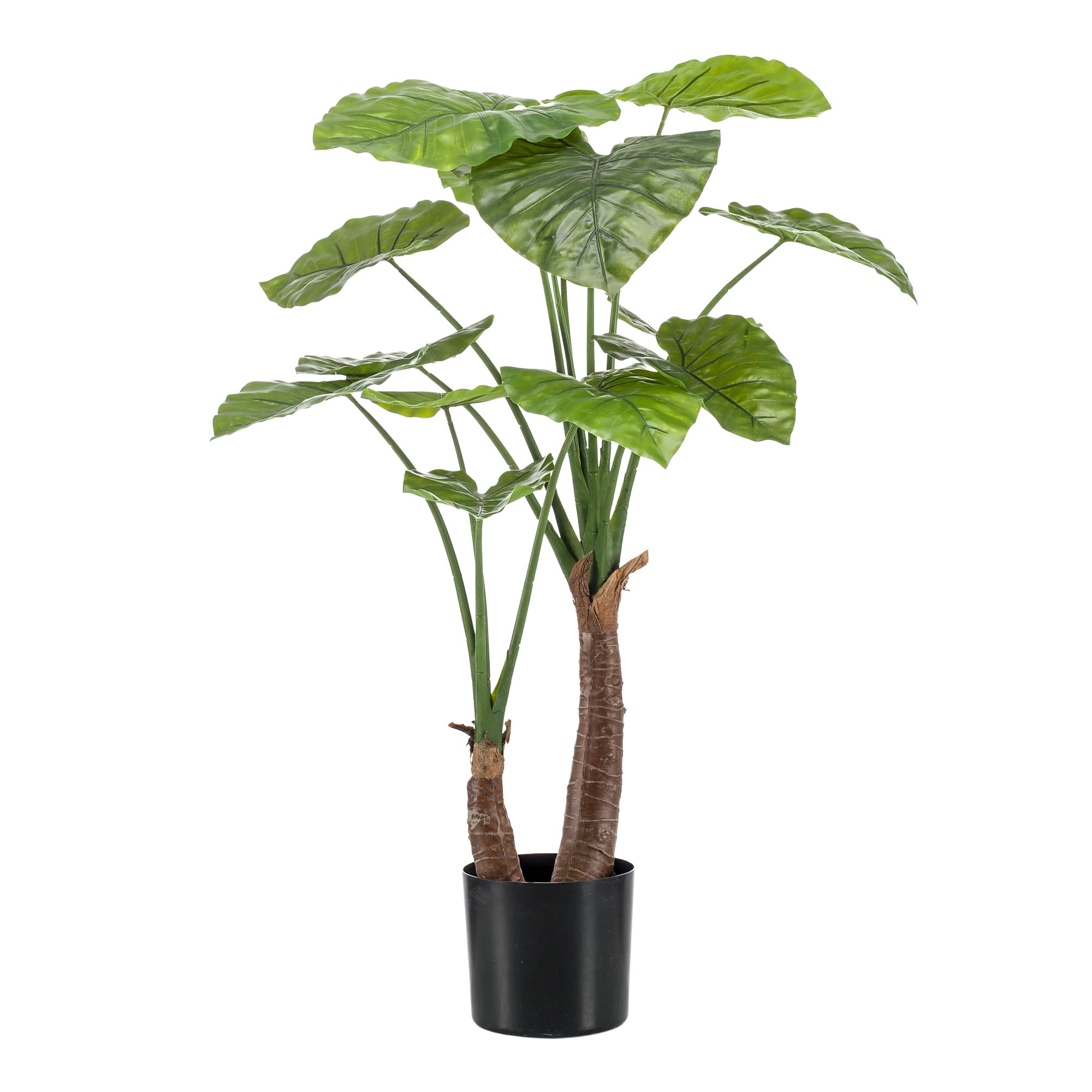 Alocasia Kunstpflanze – Pflegeleicht und dekorativ