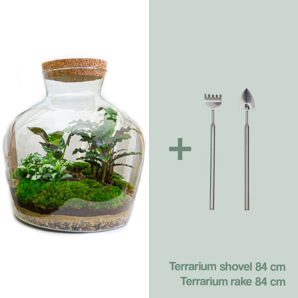 Flaschengarten - Fat Joe - ↕ 30 cm - Rake + Shovel Bild 1