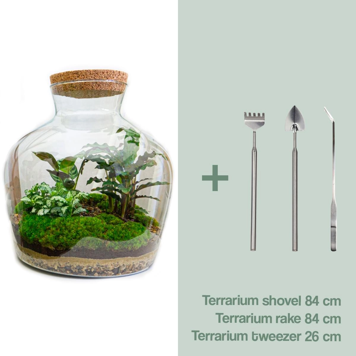 Flaschengarten - Fat Joe - ↕ 30 cm - Rake + Shovel + Tweezer Bild 1