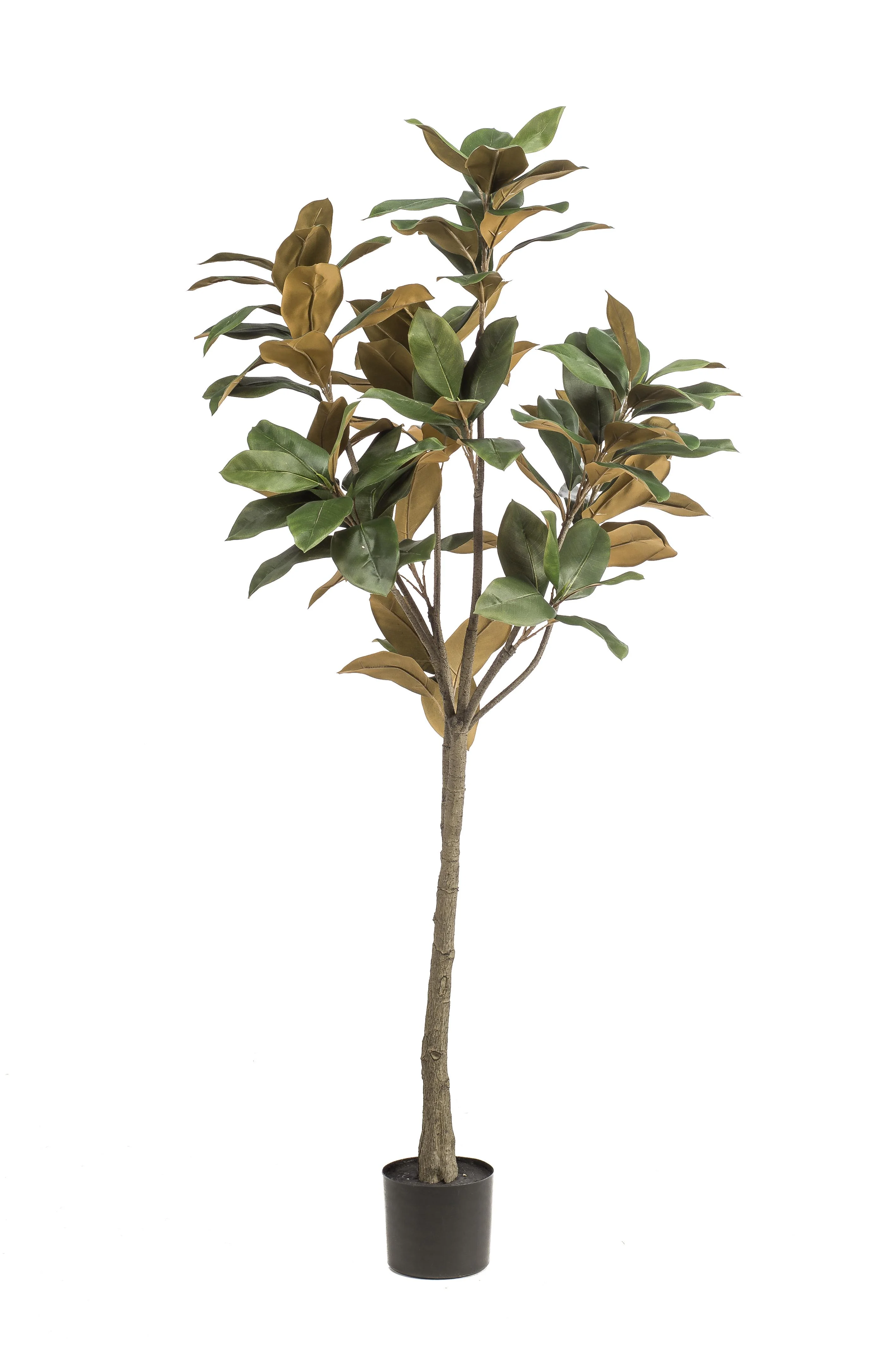 Künstliche Magnolia Grandiflora – Eleganz für Dein Zuhause