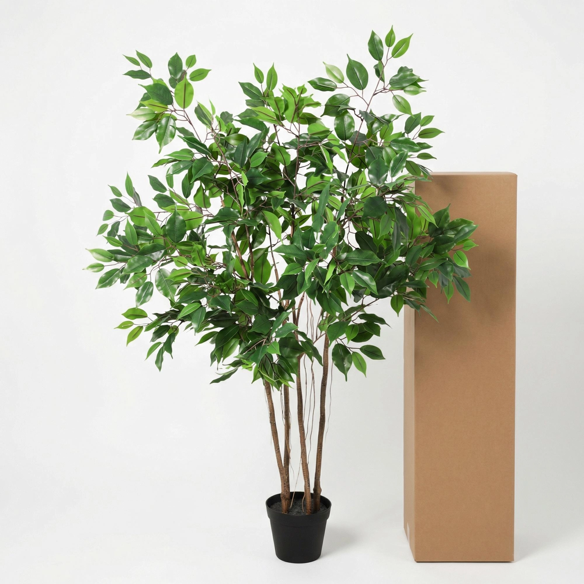 Artificial Ficus Benjamina