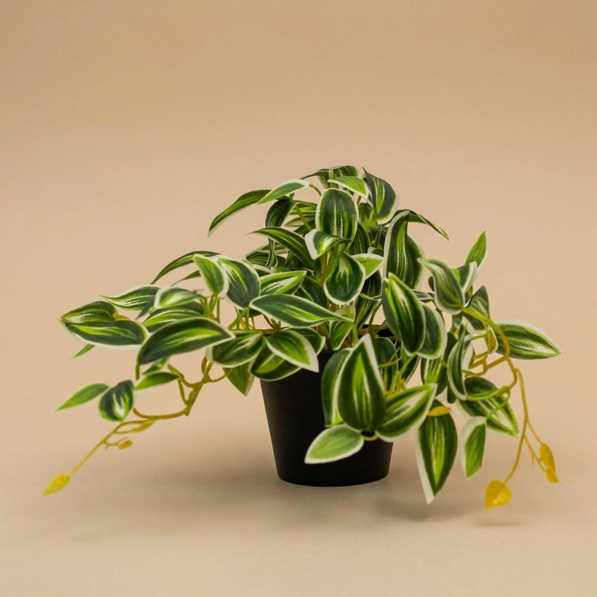 Tradescantia Kunstpflanze Grün/Weiß im Topf, 19 cm
