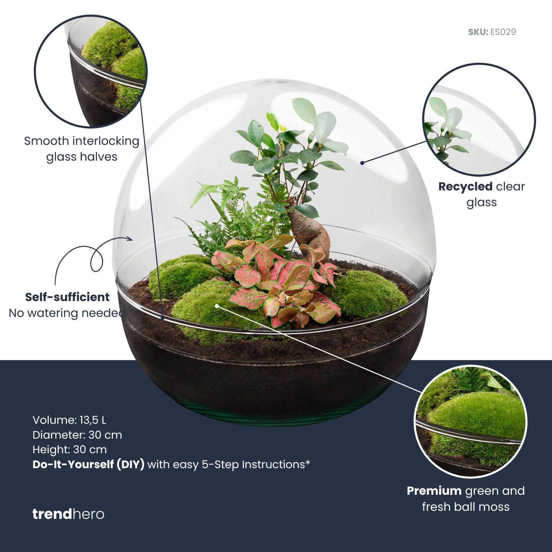 Flaschengarten - Dome XL - Ficus Ginseng Bonsai - ↕ 30 cm - Rake + Shovel Bild 3