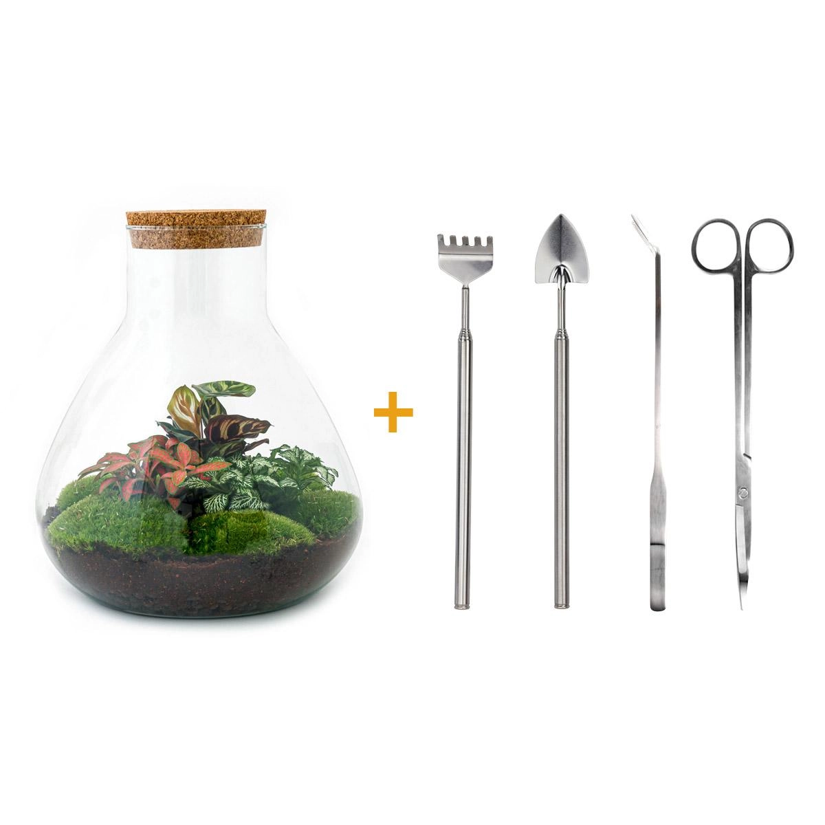 Flaschengarten - Sam XL Rot - ↕ 35 cm - Rake + Shovel + Tweezer + Scissors Bild 1