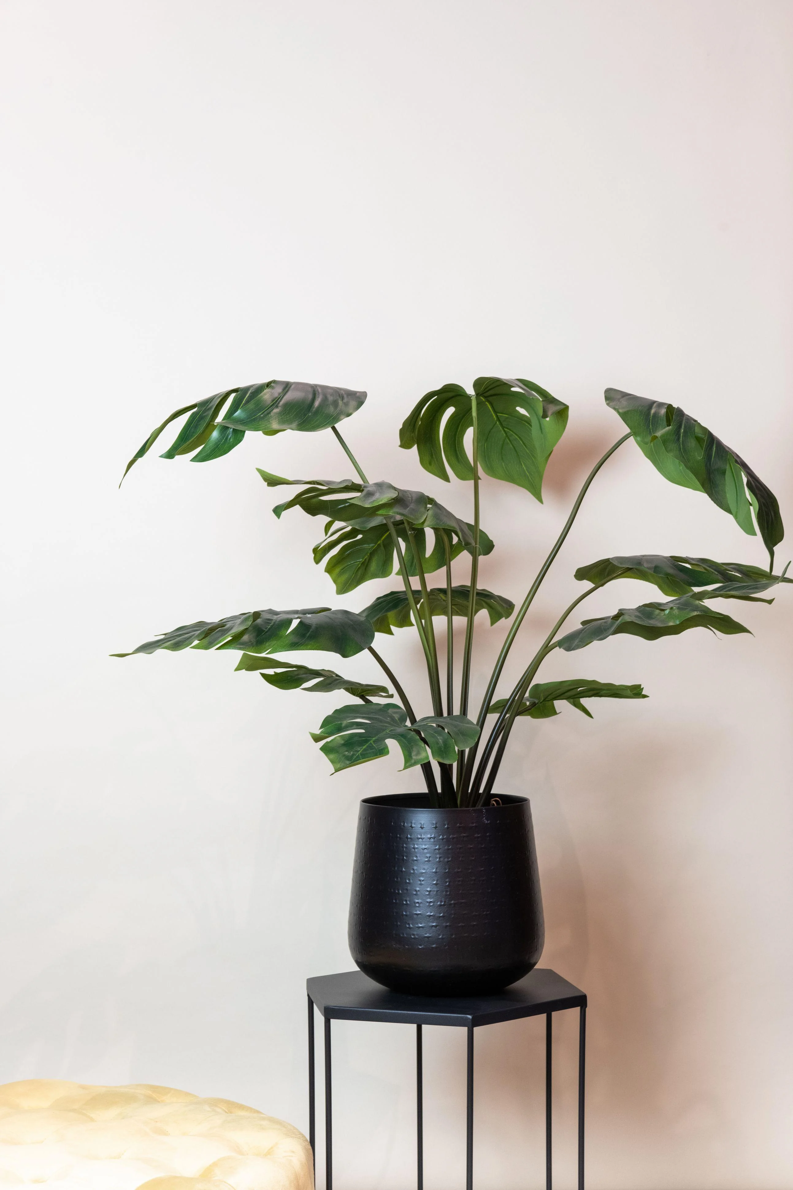 Künstliche Monstera Deliciosa – Fensterblatt