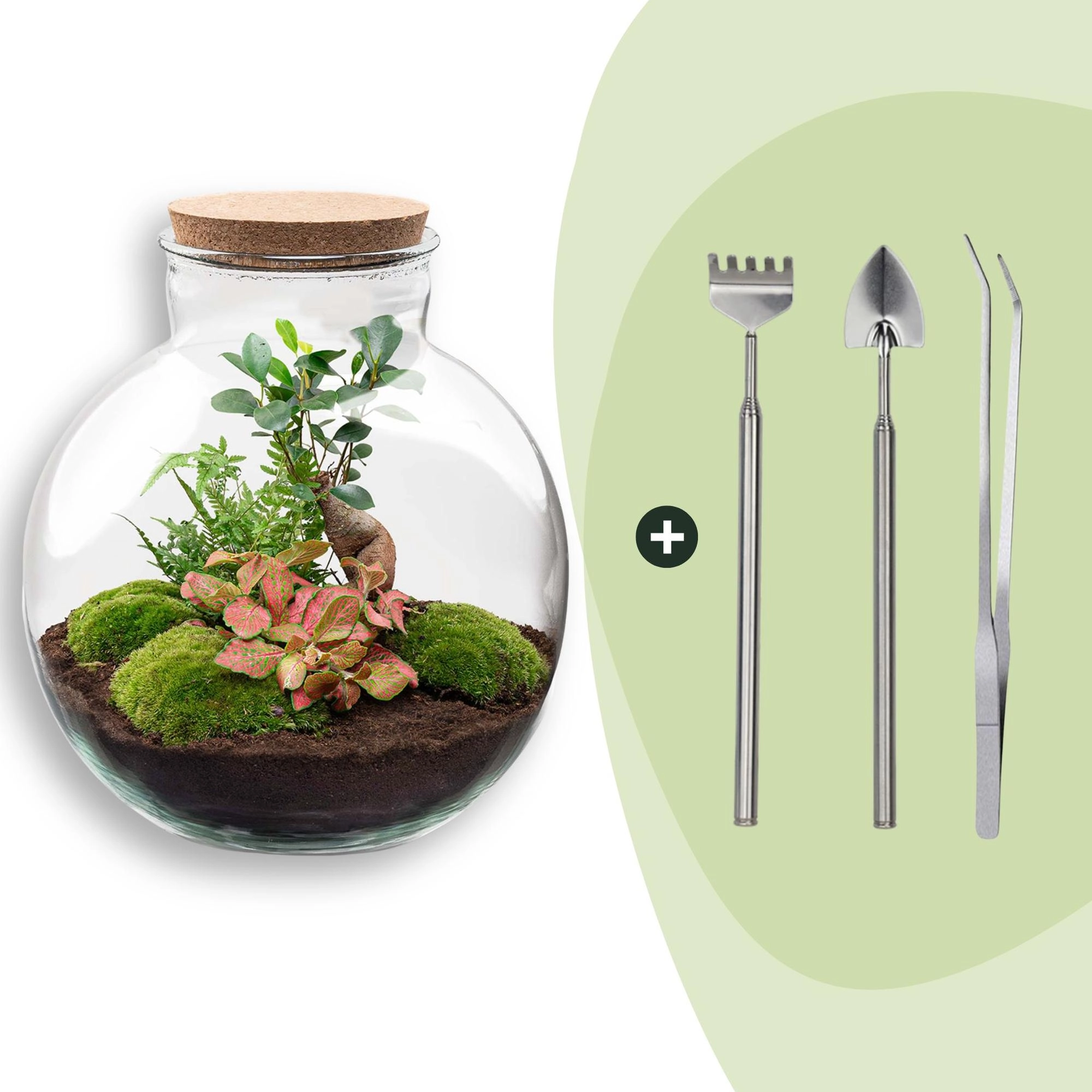 Flaschengarten - Bolder Bob Bonsai - ↕ 30 cm - Rake + Shovel + Tweezer Bild 1