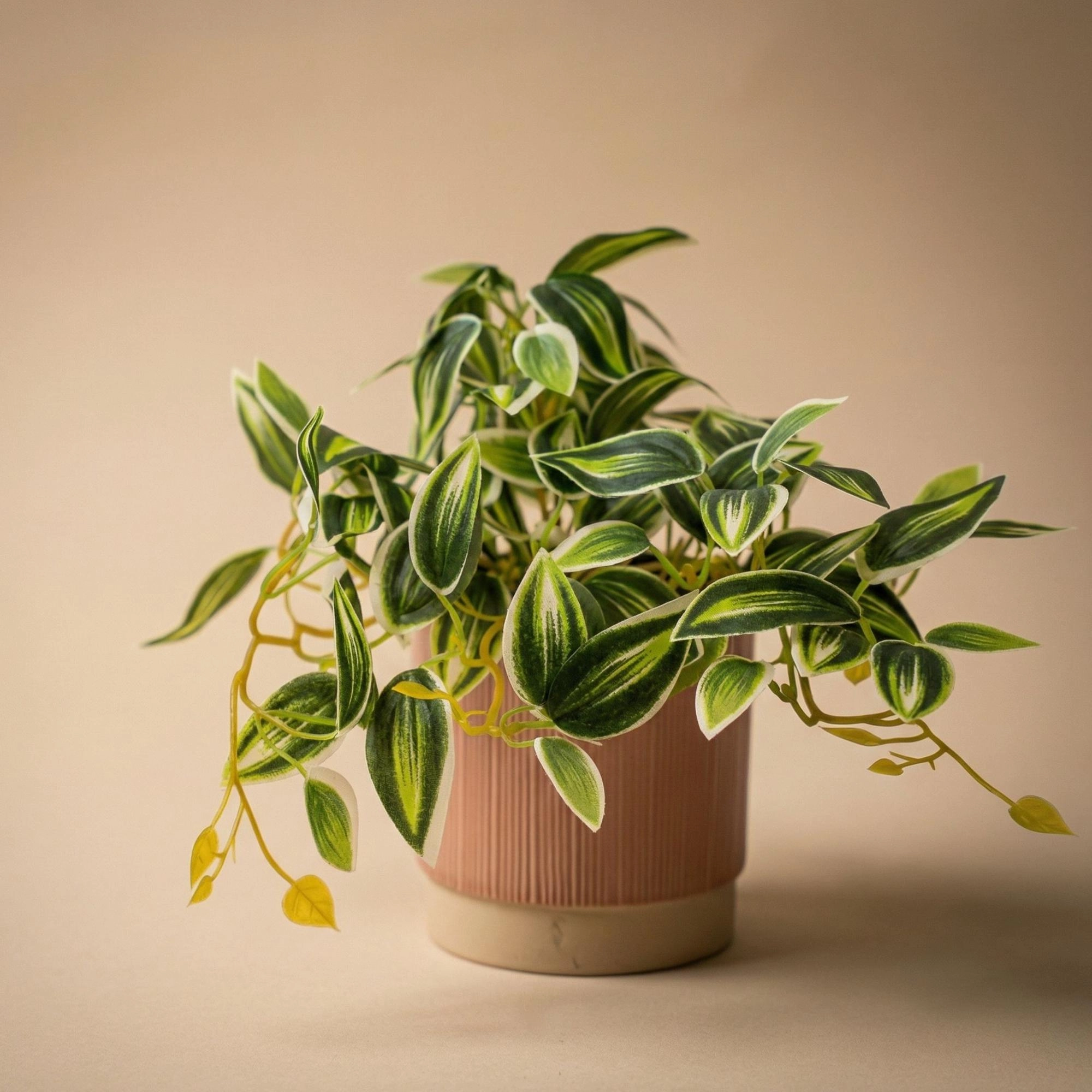 Tradescantia Kunstpflanze Grün/Weiß im Topf, 19 cm
