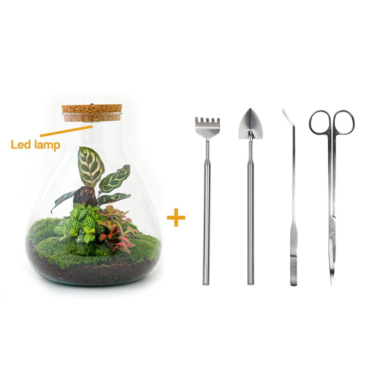 Do-It-Yourself Flaschengarten Set