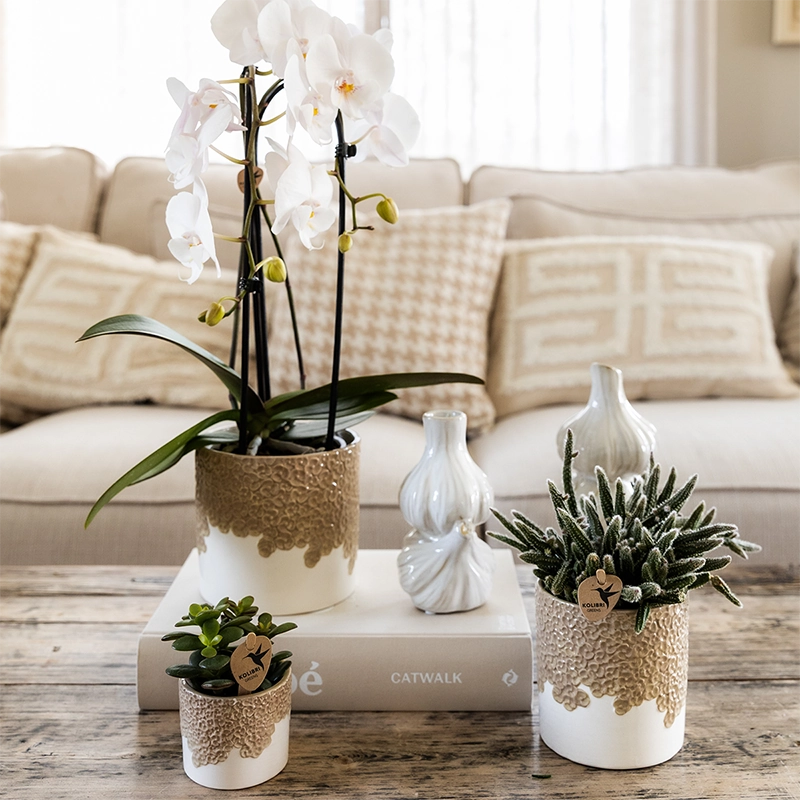 Bloompot Sand