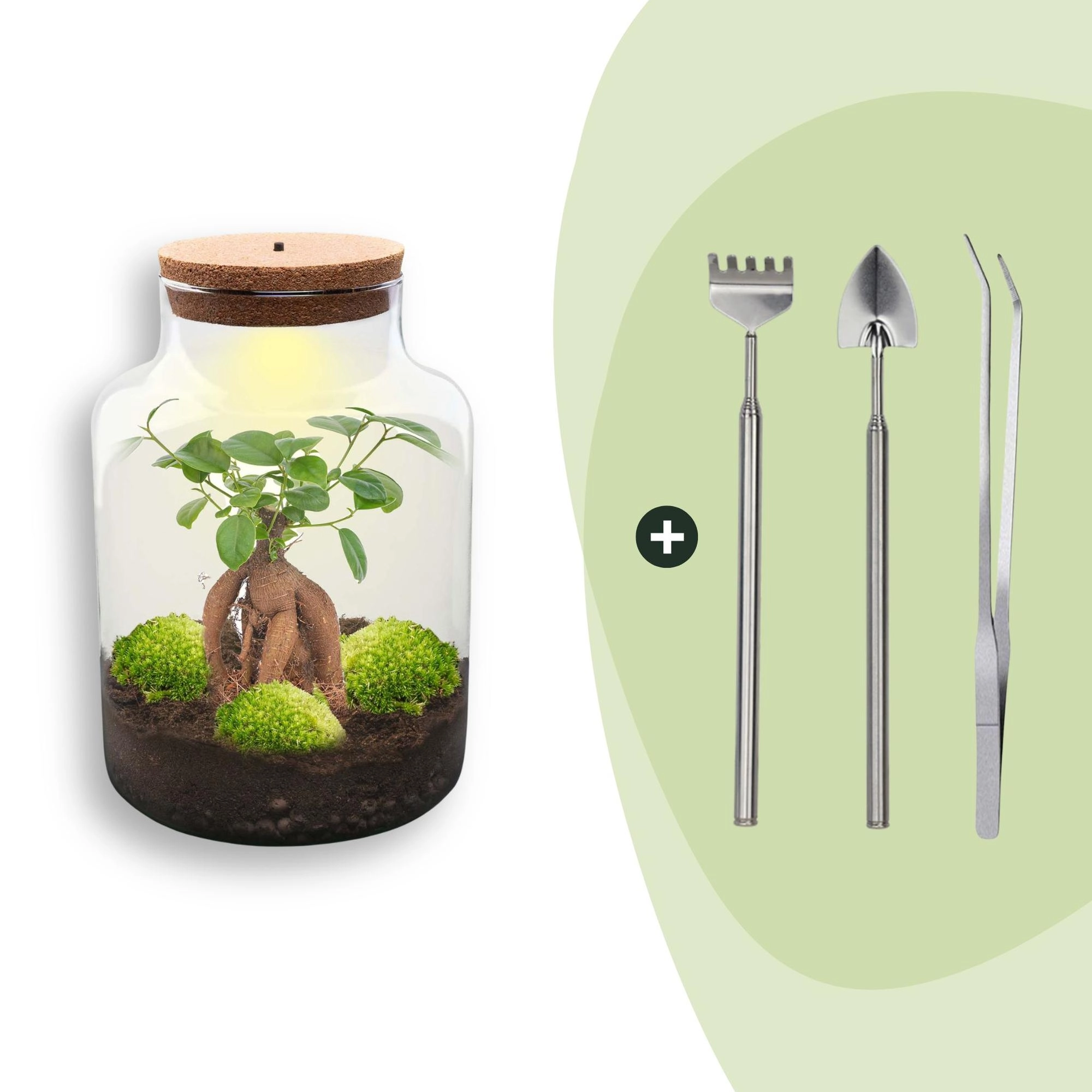 Flaschengarten - Milky mit bonsai - ↕ 30 cm - Rake + Shovel + Tweezer Bild 1