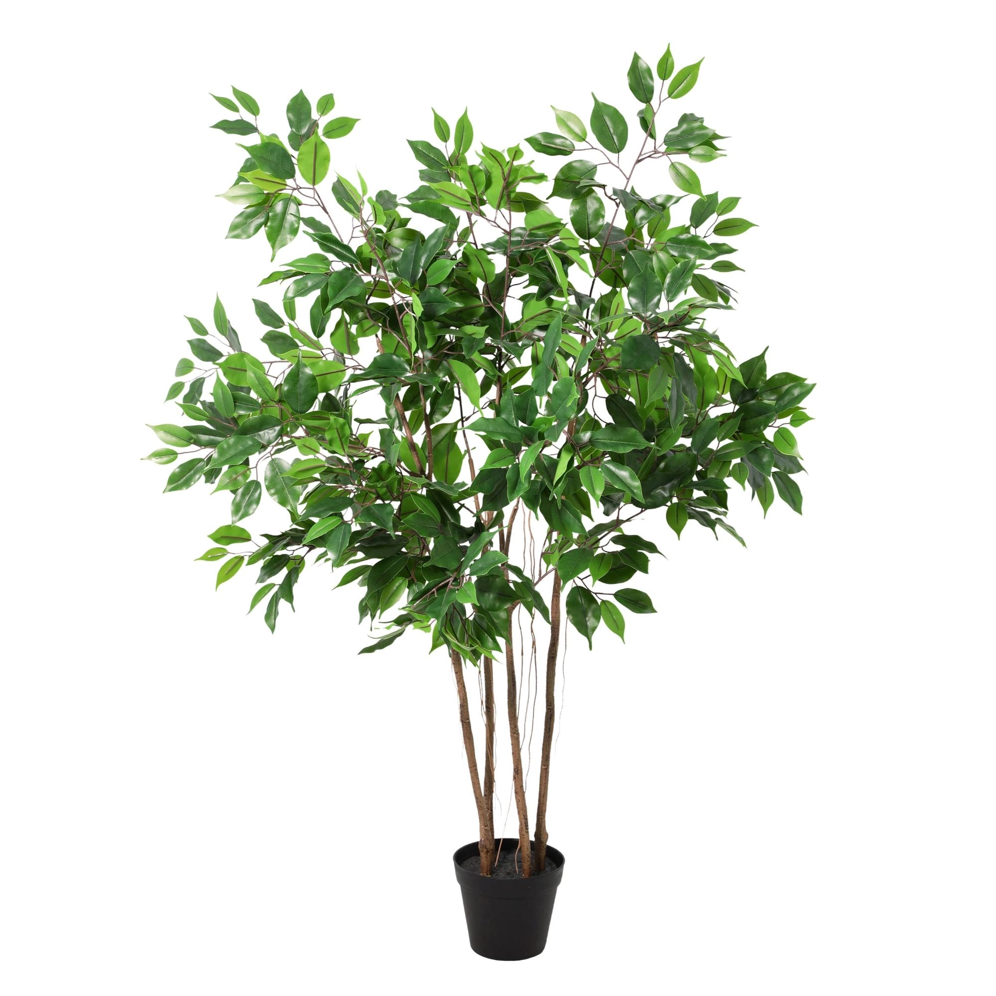 Artificial Ficus Benjamina