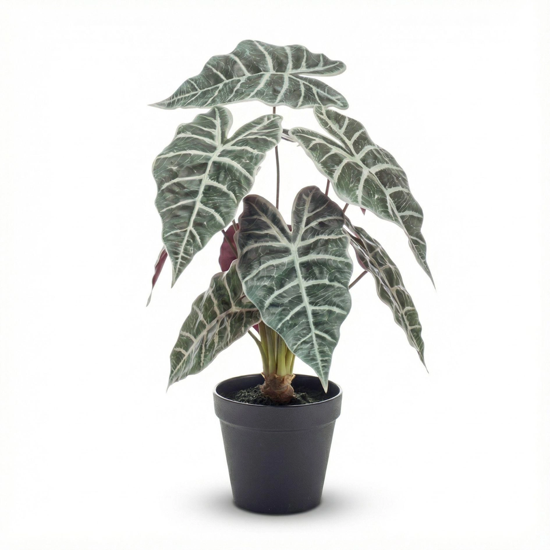 Alocasia Kunstpflanze im Topf 40 cm