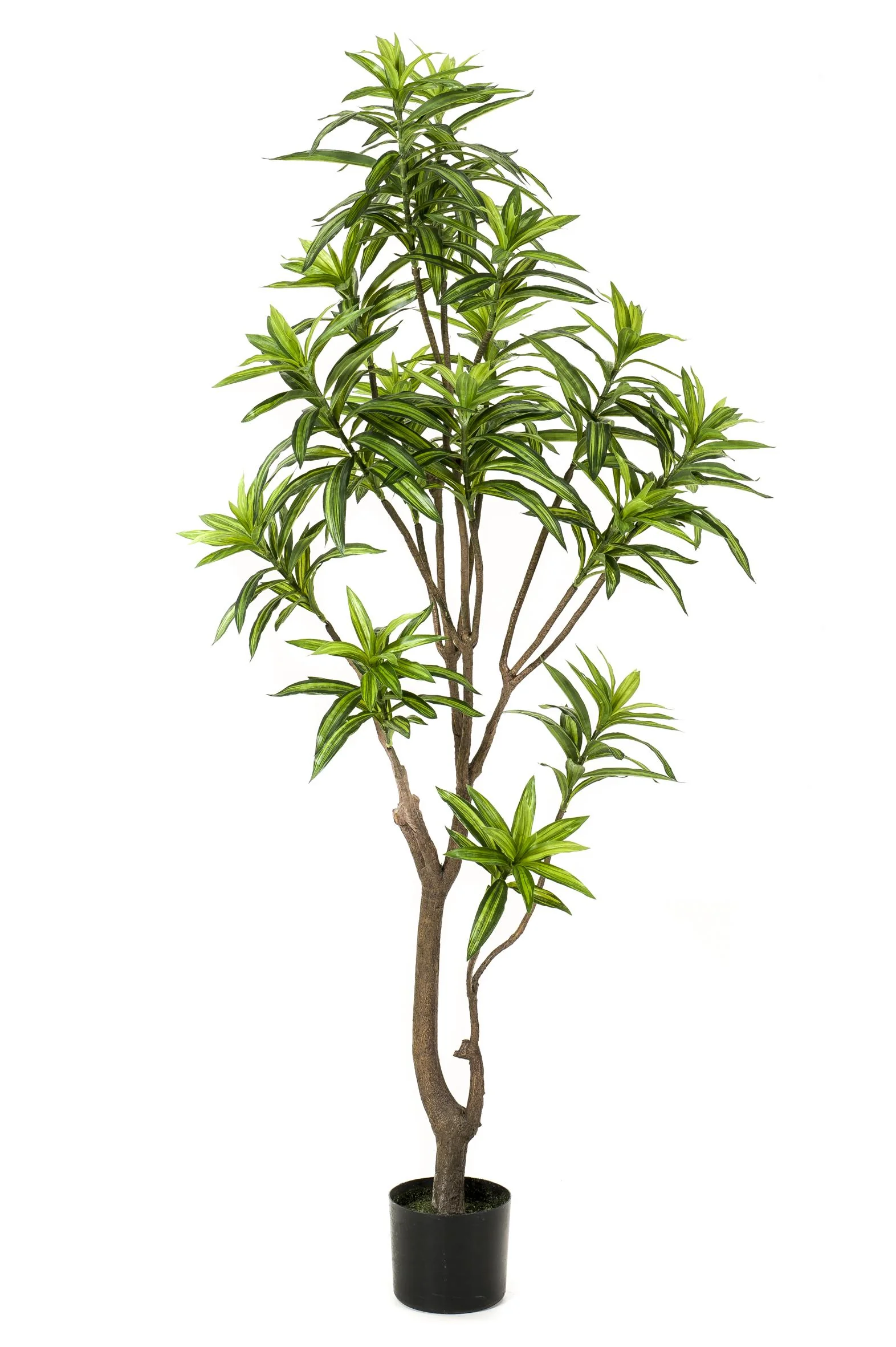 Dracaena Kunstpflanze – eleganter Drachenbaum für dein Zuhause