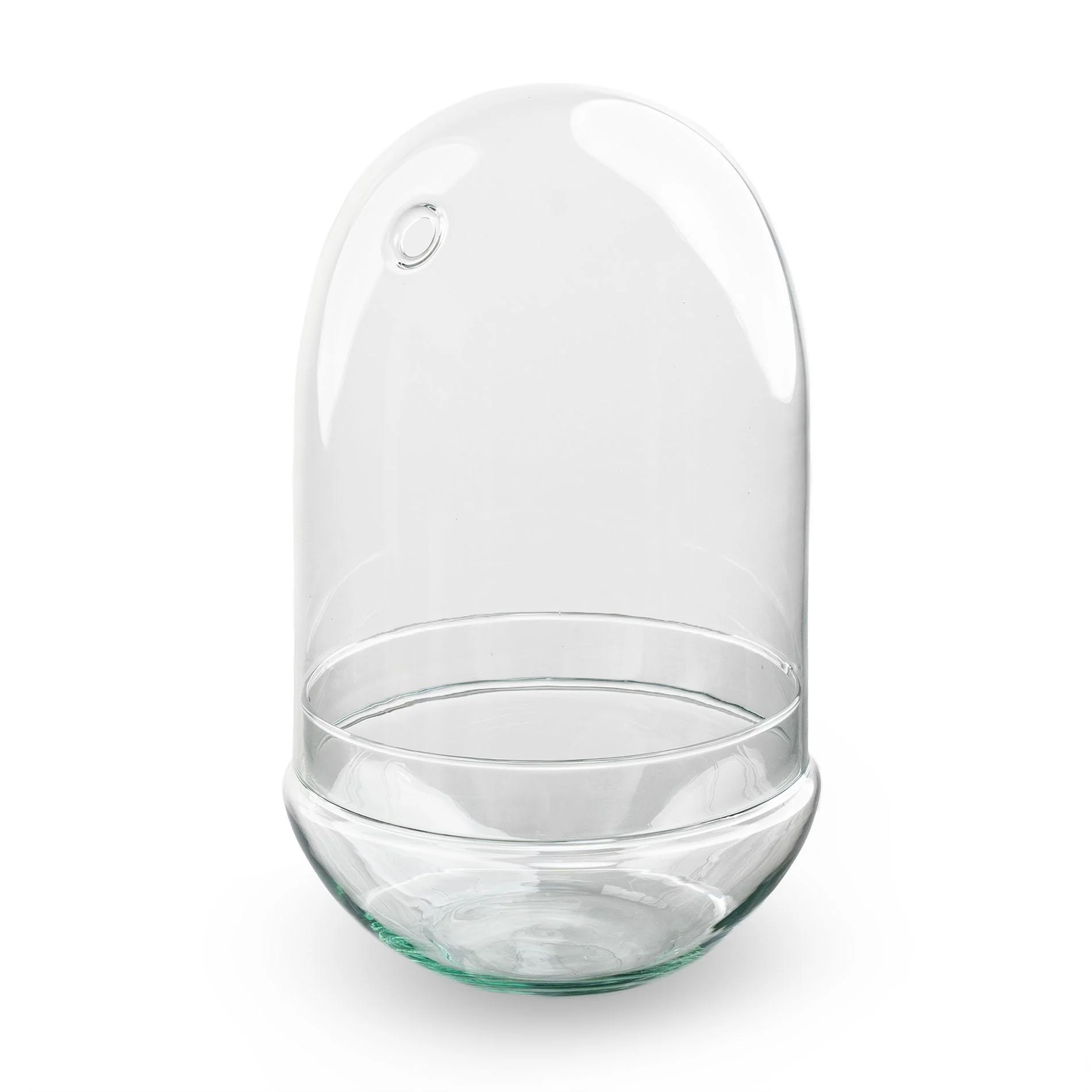 Terrarium Fles - Egg XL