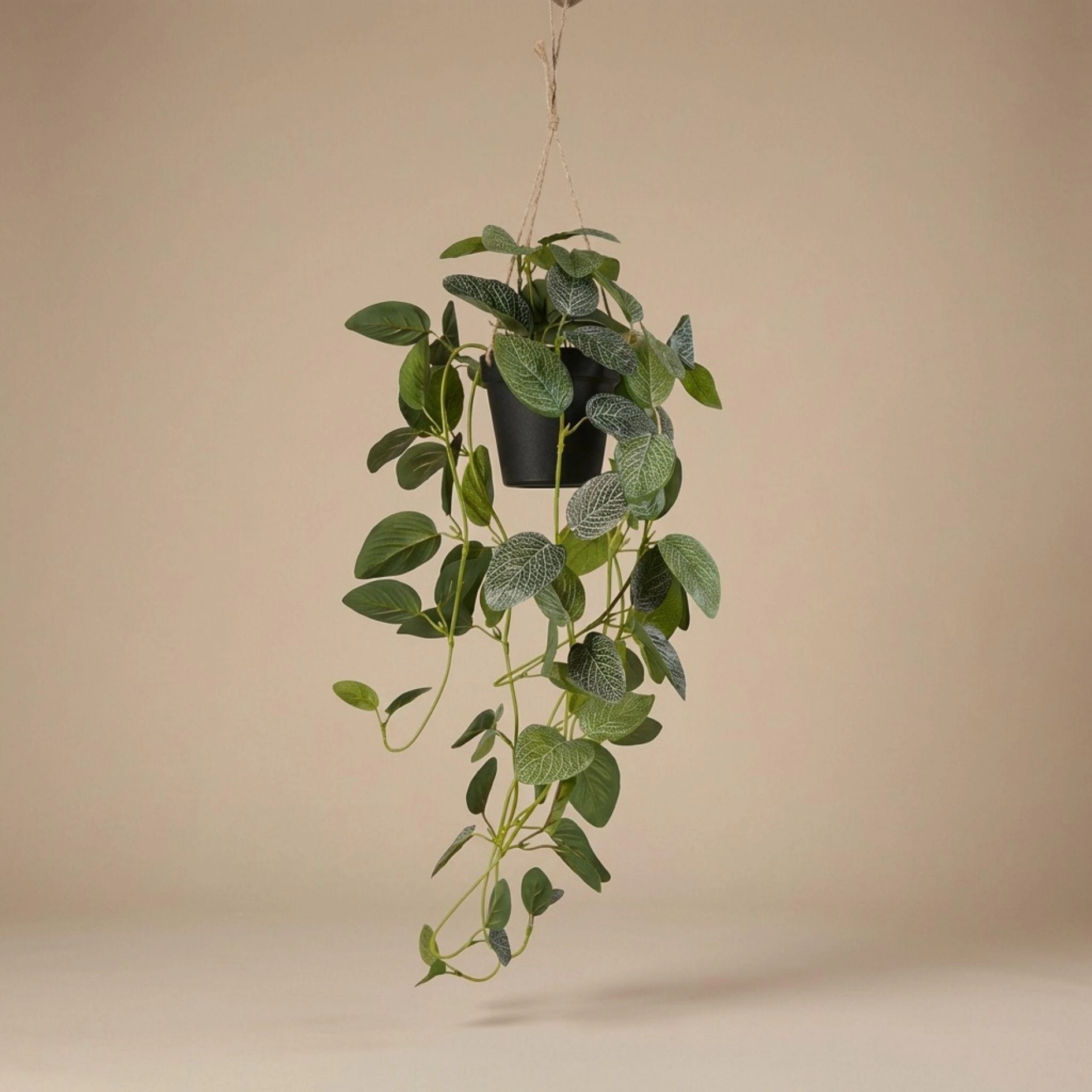 Fittonia Hängepflanze künstlich, 70 cm – schwarzer Topf