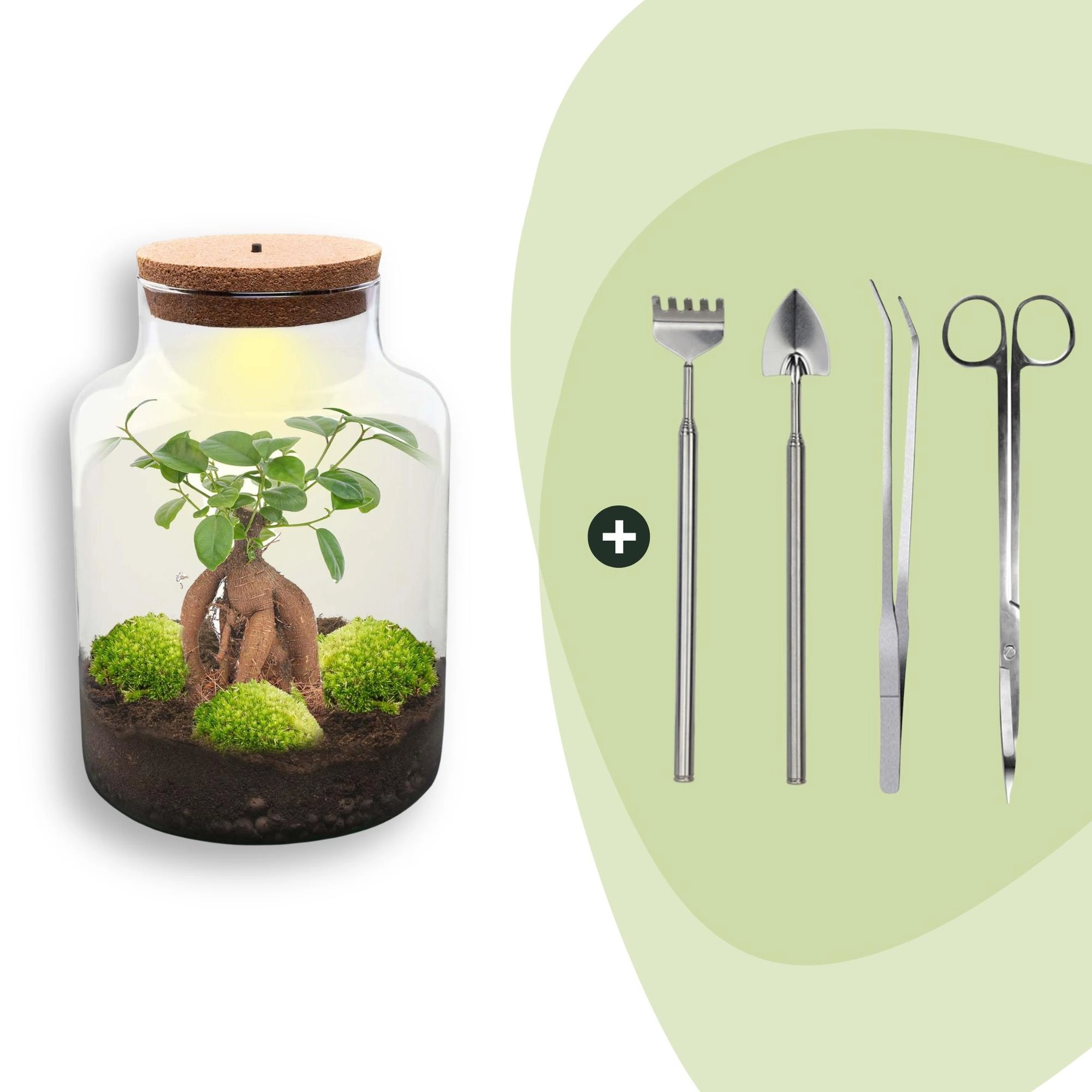 Flaschengarten - Milky mit bonsai - ↕ 30 cm - Rake + Shovel + Tweezer + Scissors Bild 1