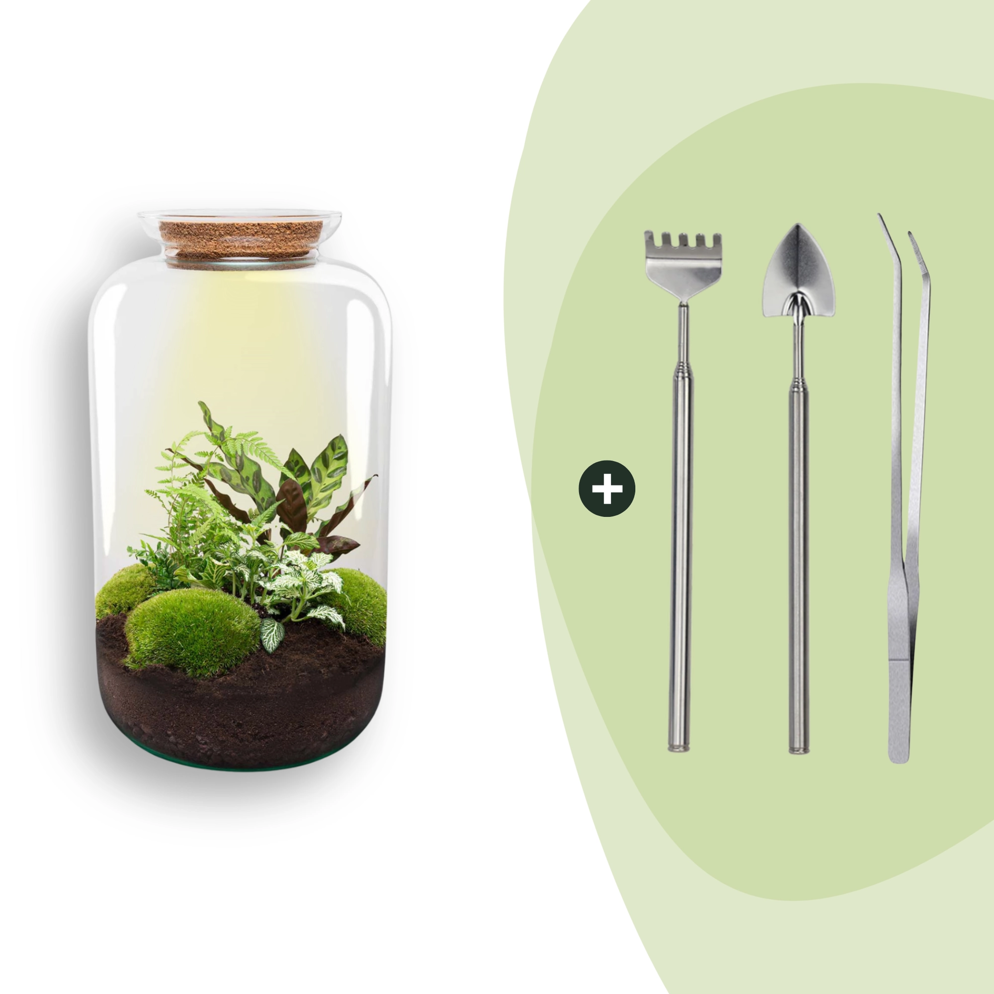 Flaschengarten - Botanical Sven XL - ↕ 43 cm - Rake + Shovel + Tweezer Bild 1