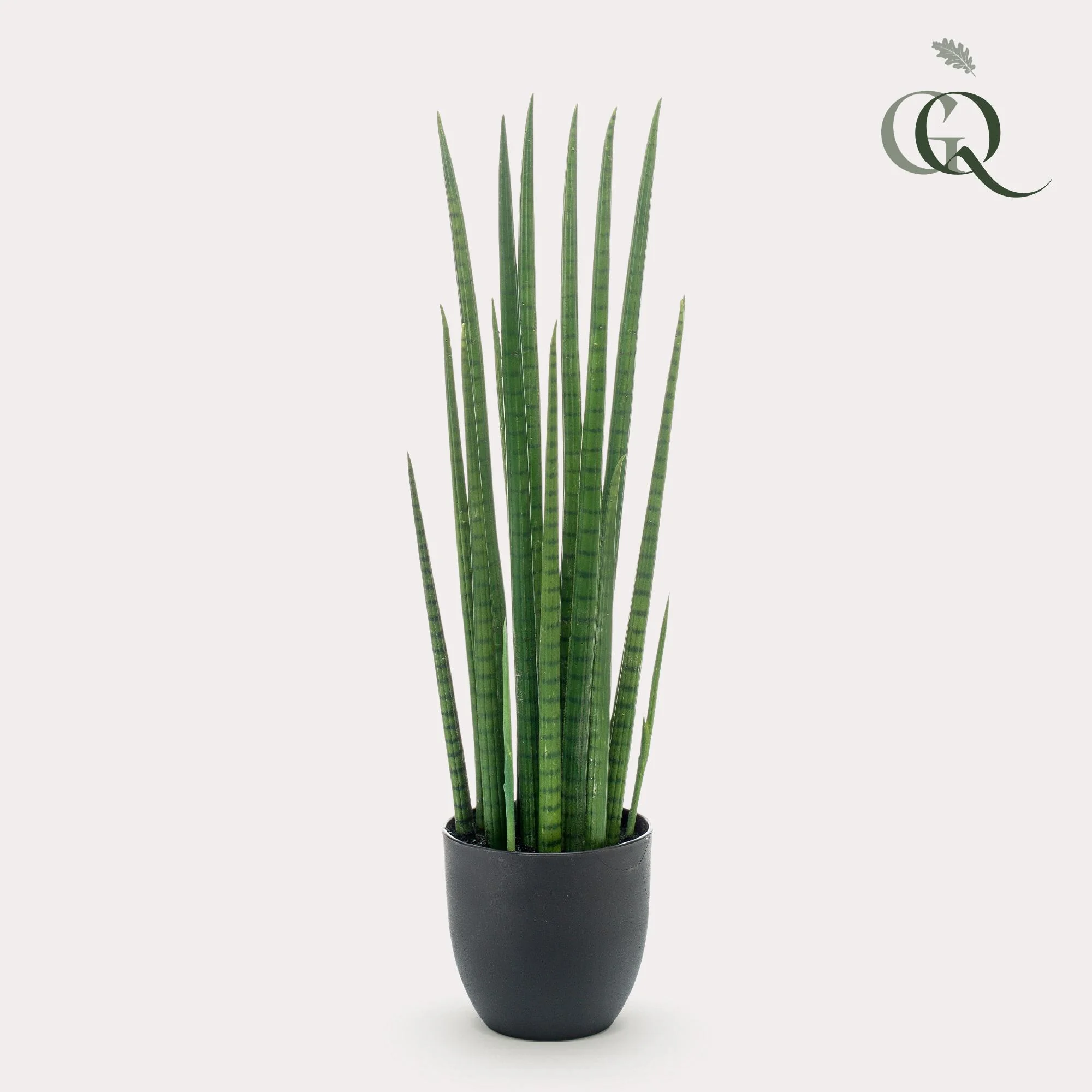 Kunstpflanze Sansevieria Cylindrica – pflegeleichte Option
