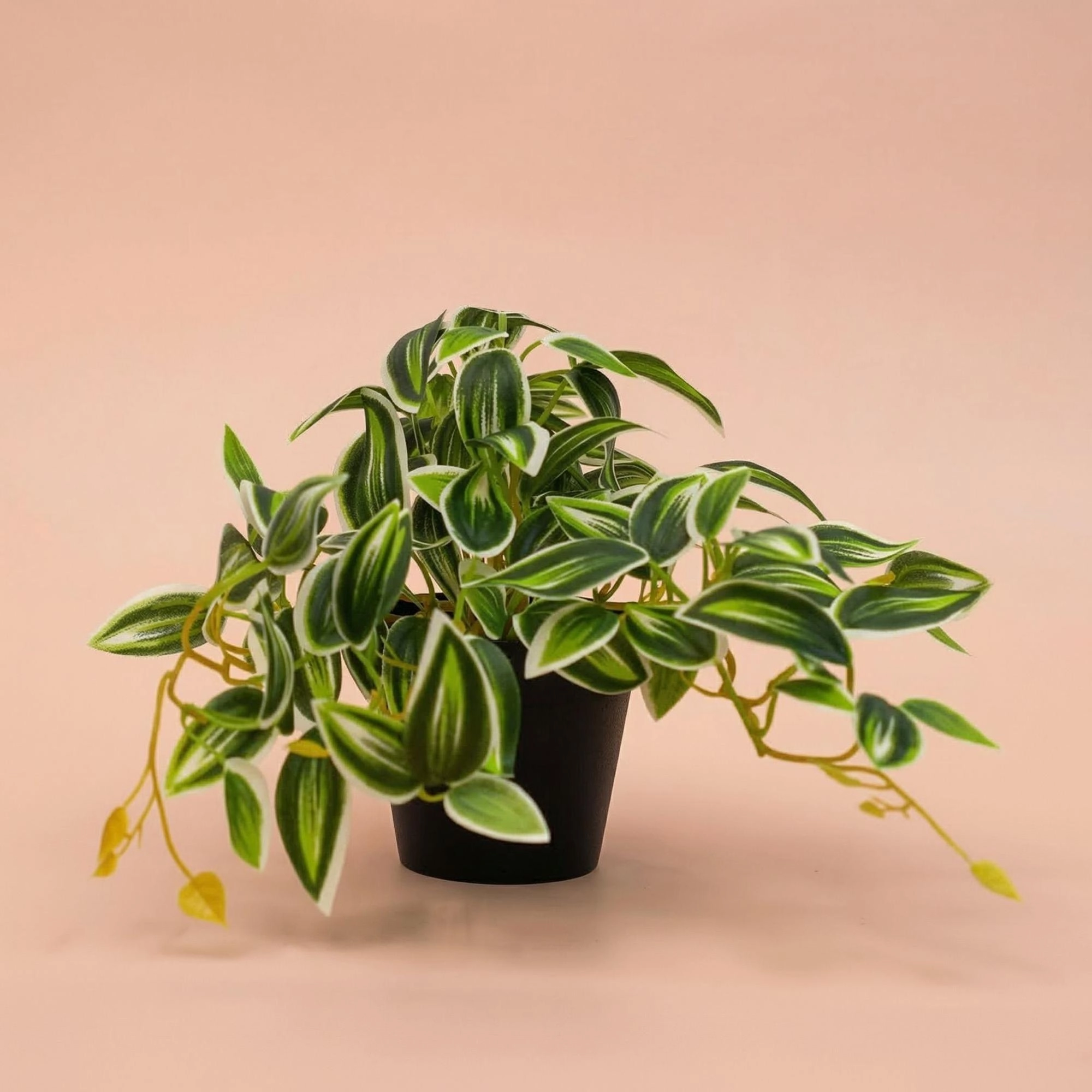 Tradescantia Kunstpflanze Grün/Weiß im Topf, 19 cm