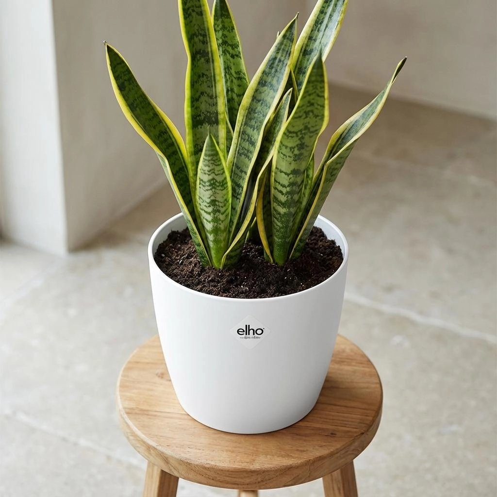 ELHO Brussels rond 18cm wit Bild 9
