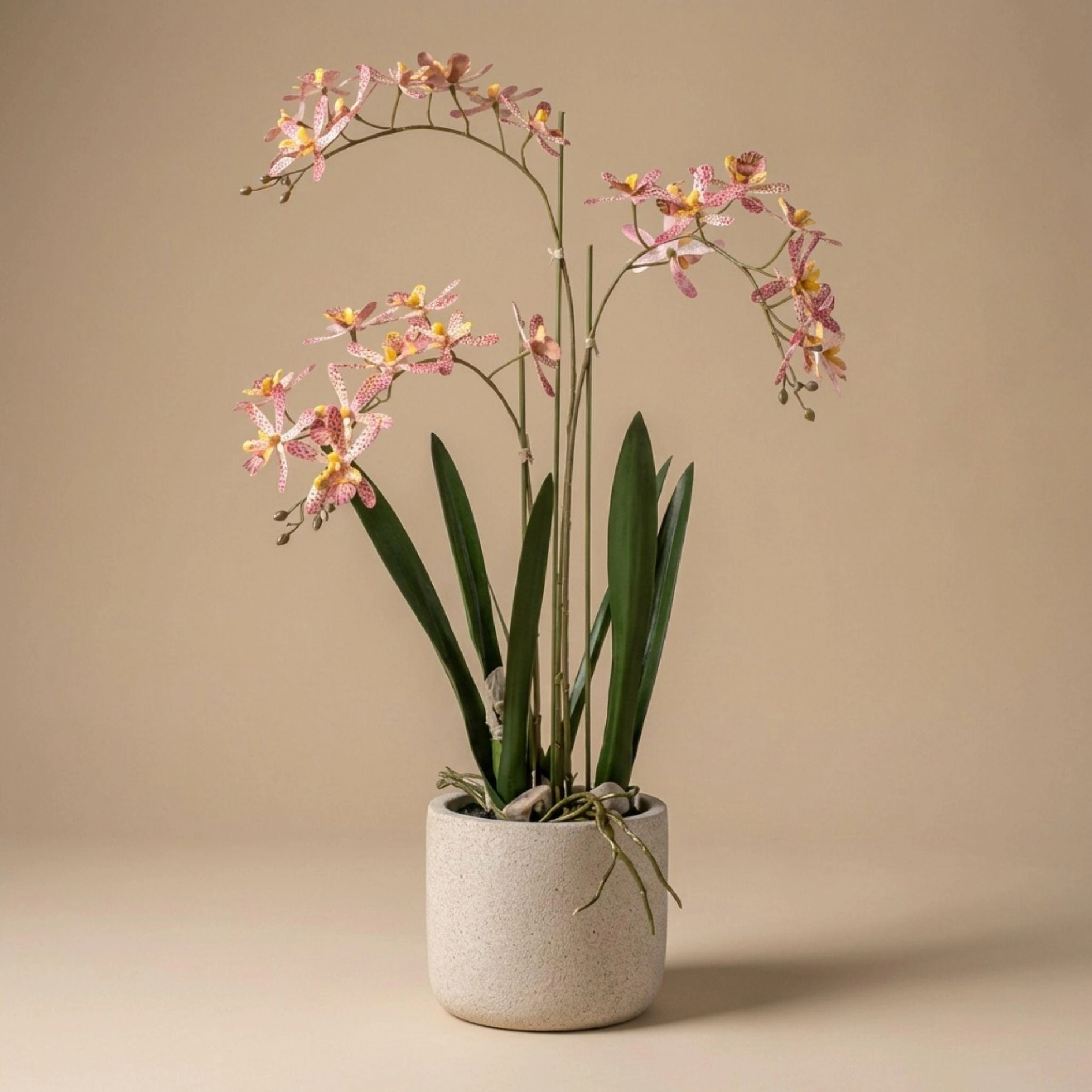 Renanthera Orchidee (künstlich) – 56 cm