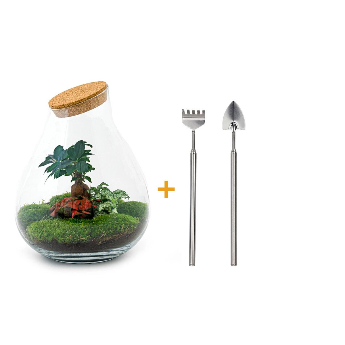 Do-It-Yourself Flaschengarten Set - Mini-Ökosystem Terrarium