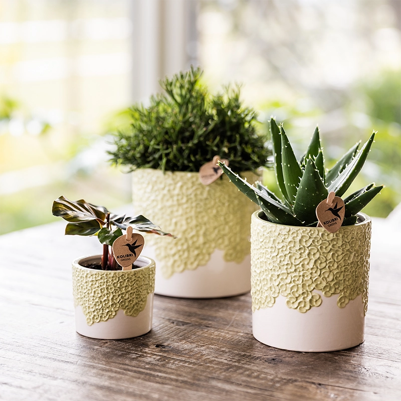 Bloompot in Grün