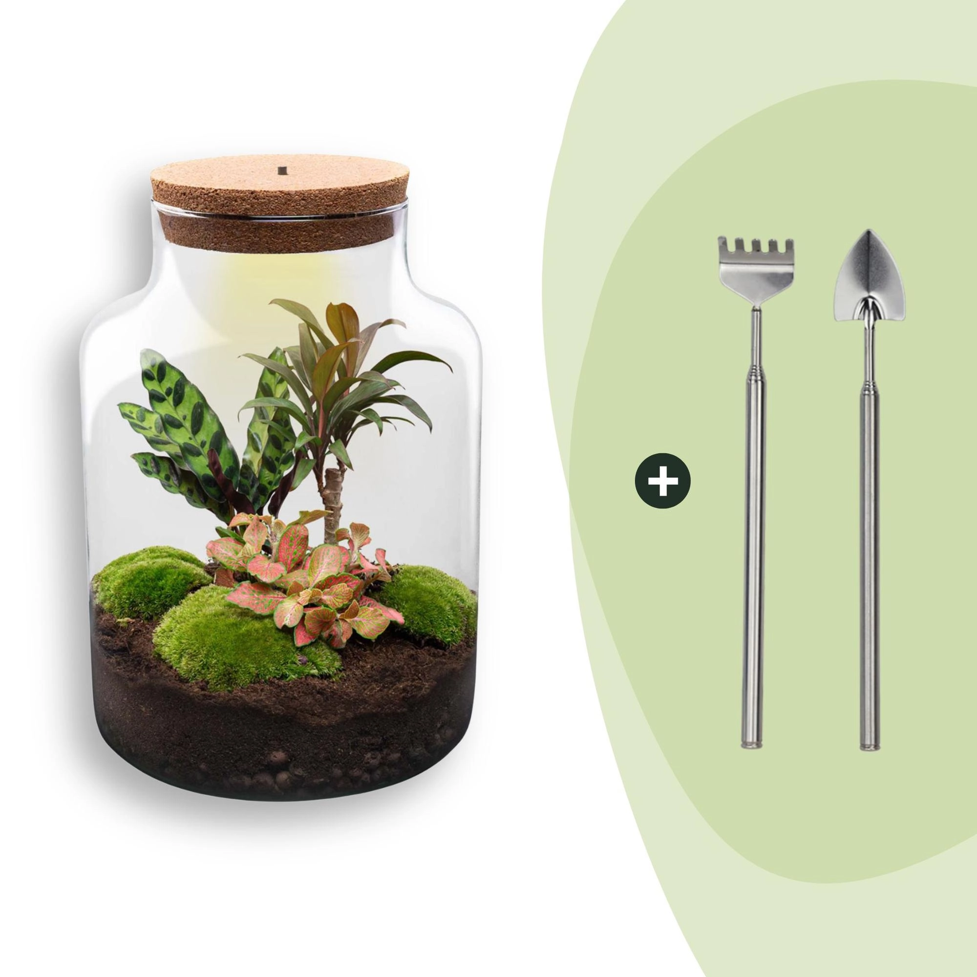 Flaschengarten - Milky - ↕ 30 cm - Rake + Shovel Bild 1