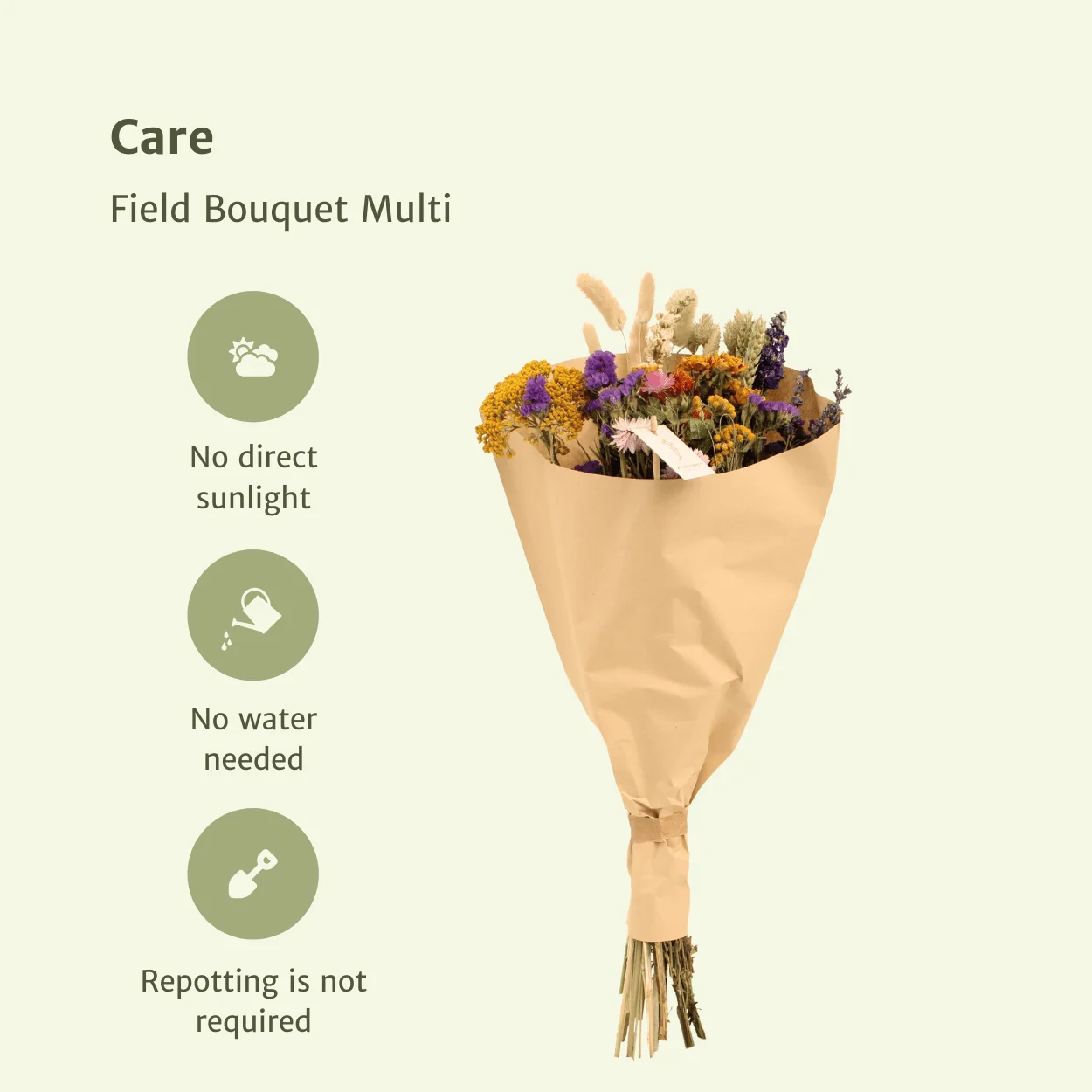 Trockenblumen Feldblumenstrauß Multi - Ø25cm - ↕60cm Bild 3