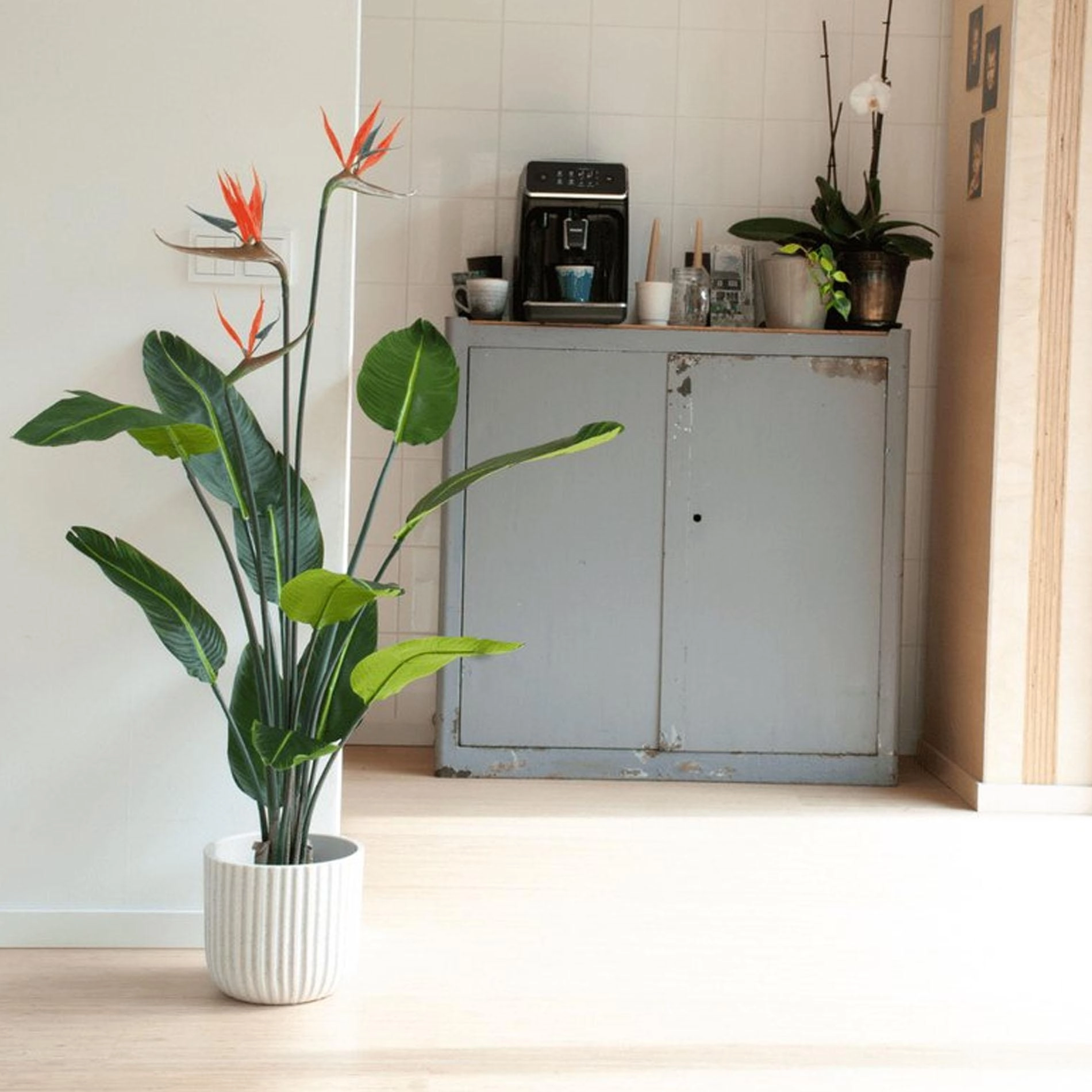 Strelitzia Kunstpflanze mit orangen Blumen – 120 cm hoch