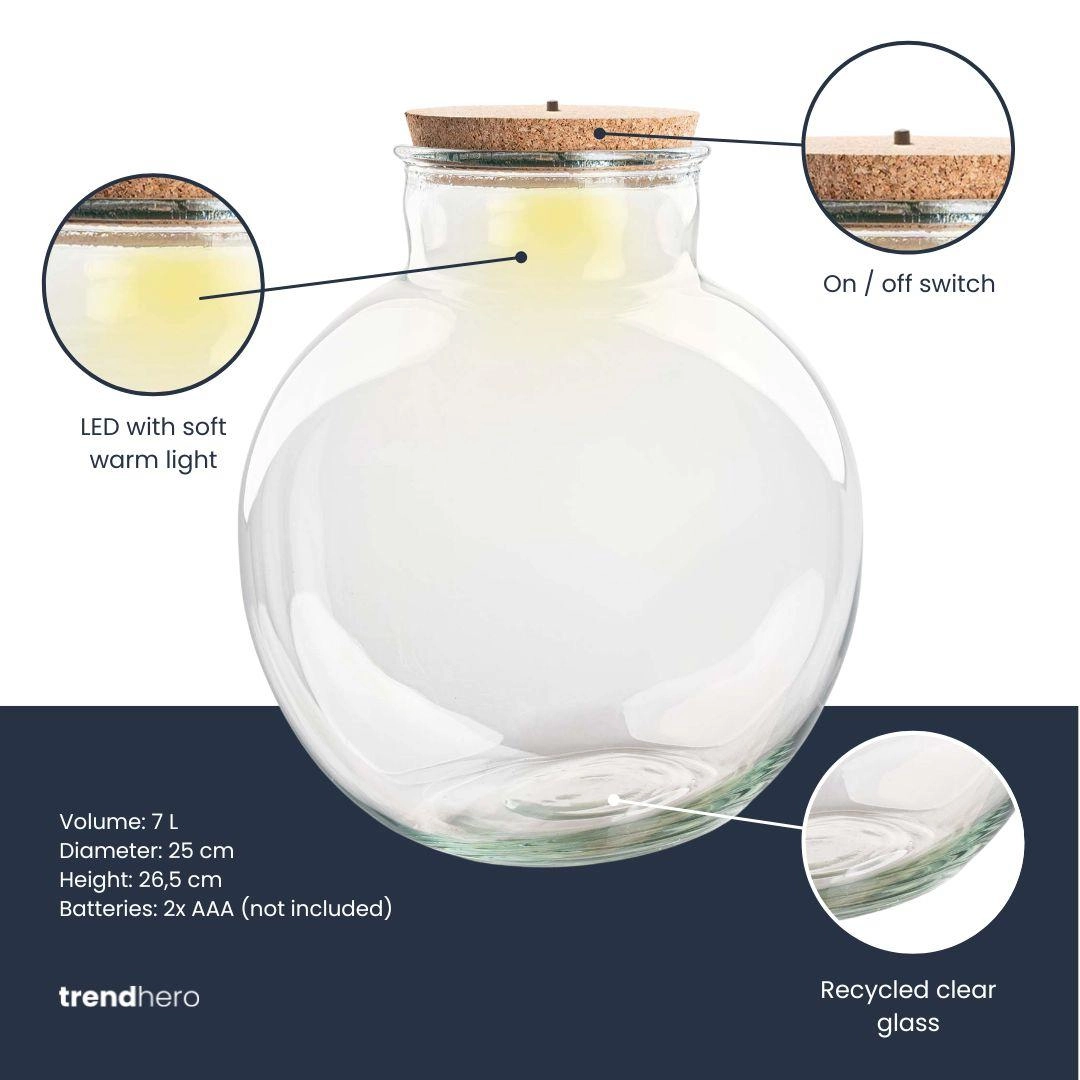 Terrarium fles (met) verlichting - Teddy - Ø 25 cm ↑ 26,5 cm - Met LED-kurk Bild 2