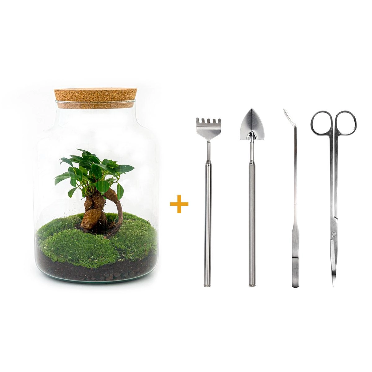 Do-It-Yourself Flaschengarten Set