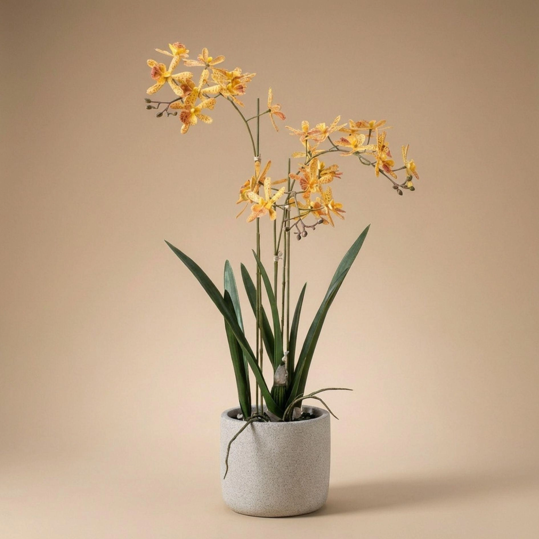 Renanthera Orchidee (künstlich) – 56 cm